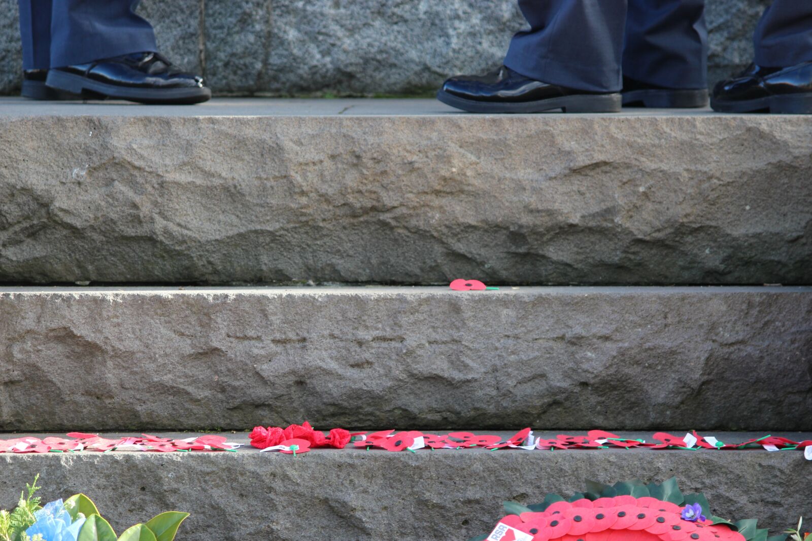 Canon EOS 700D (EOS Rebel T5i / EOS Kiss X7i) sample photo. Steps, poppy, poppies photography
