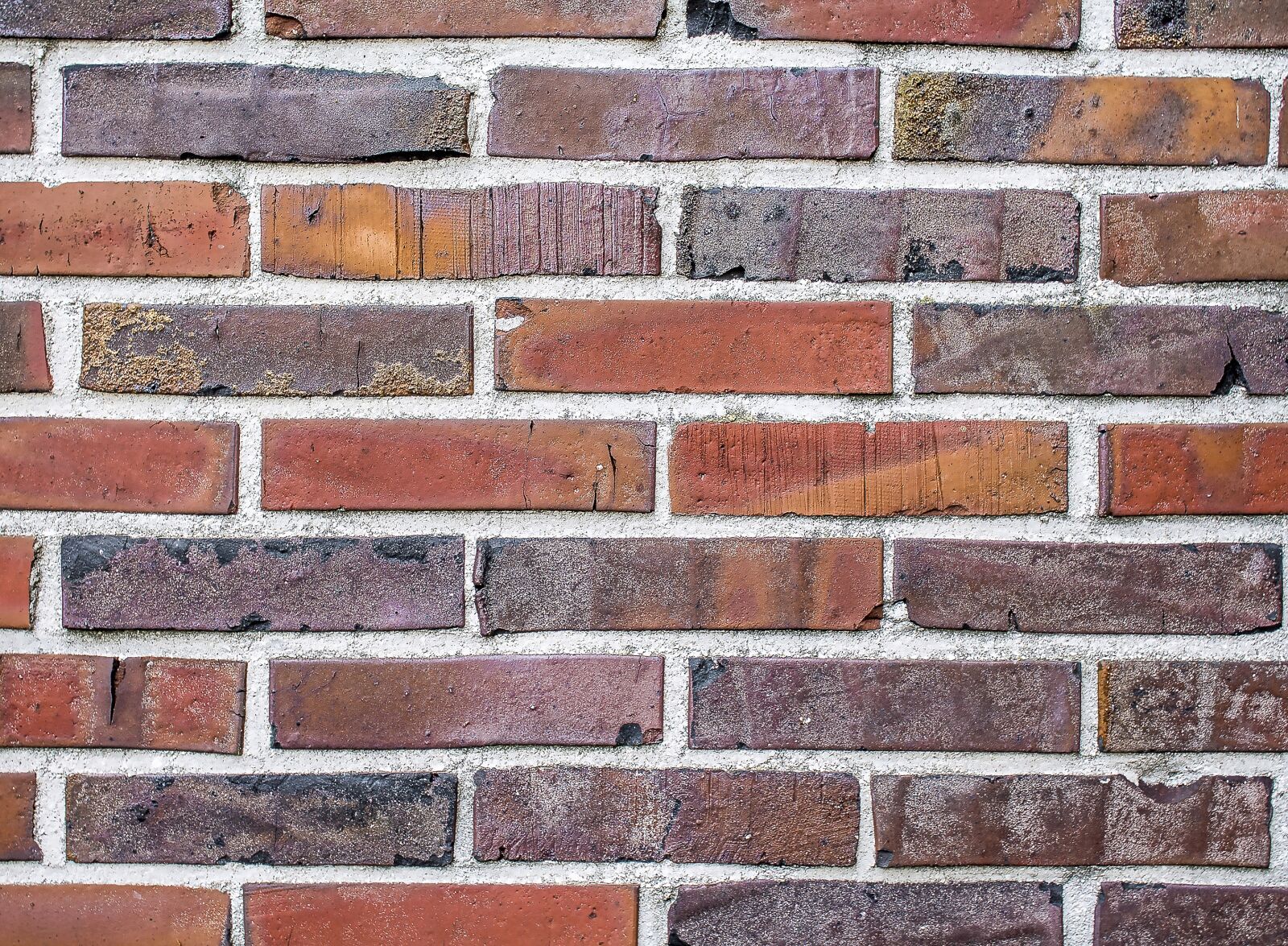 Canon EOS 1100D (EOS Rebel T3 / EOS Kiss X50) sample photo. Background, texture, detail photography