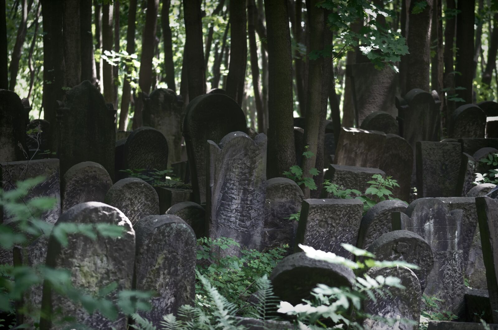 Nikon D5100 sample photo. Landscape, gloomy, cemetery photography