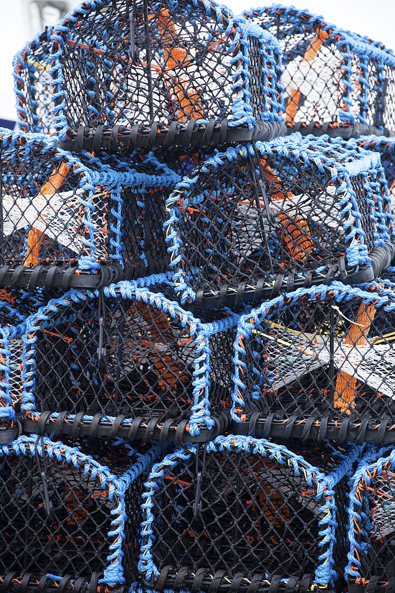 Canon EOS 5D Mark II sample photo. Crab pot, fishing, pot photography