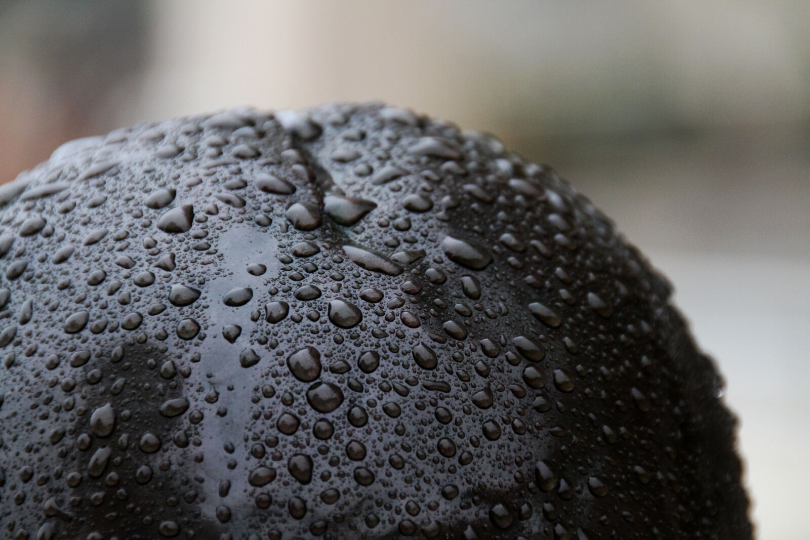 Canon EOS 7D sample photo. Sculpture, rain, drops photography