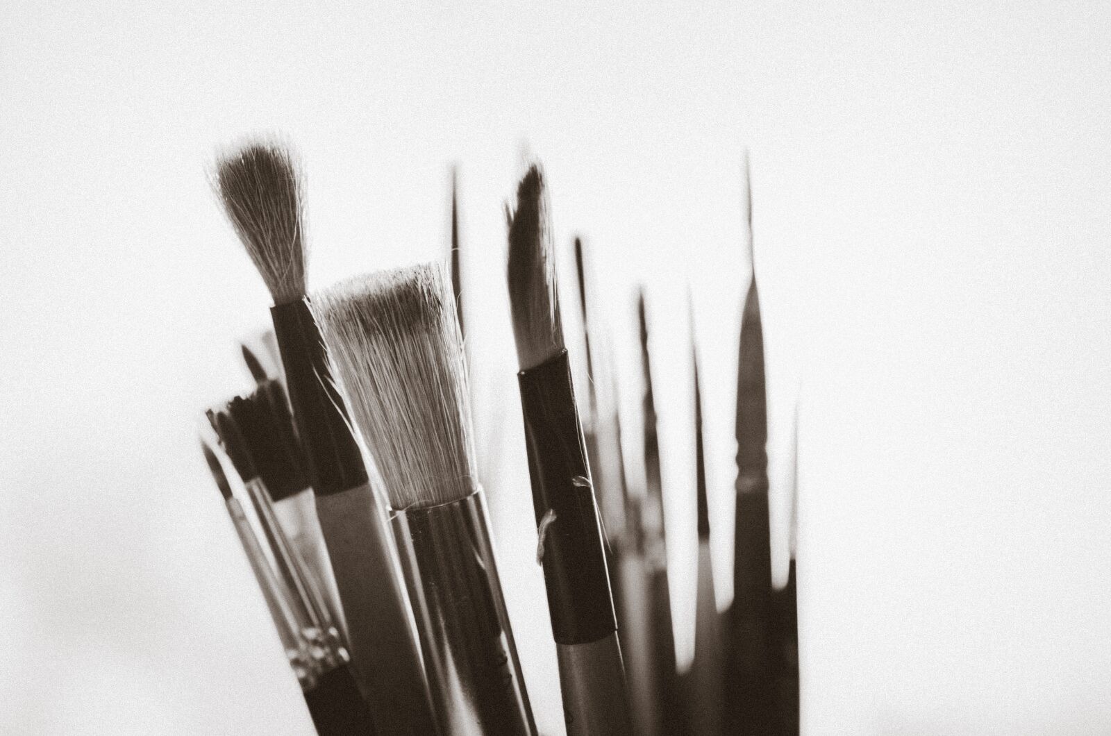 Tamron SP 90mm F2.8 Di VC USD 1:1 Macro sample photo. Paintbrush, art, artist photography