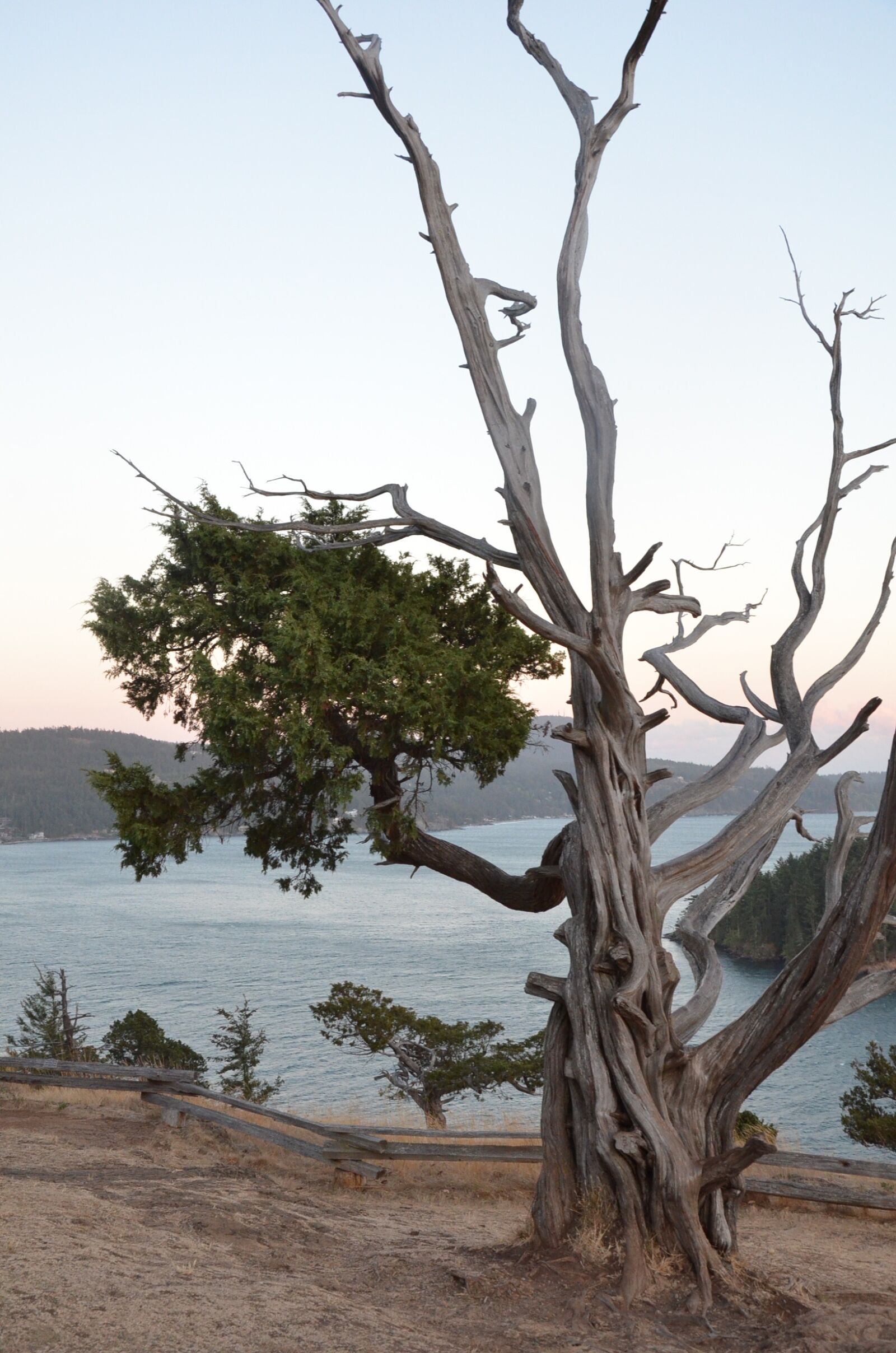 Nikon D7000 sample photo. Nature, outdoor, landscape photography
