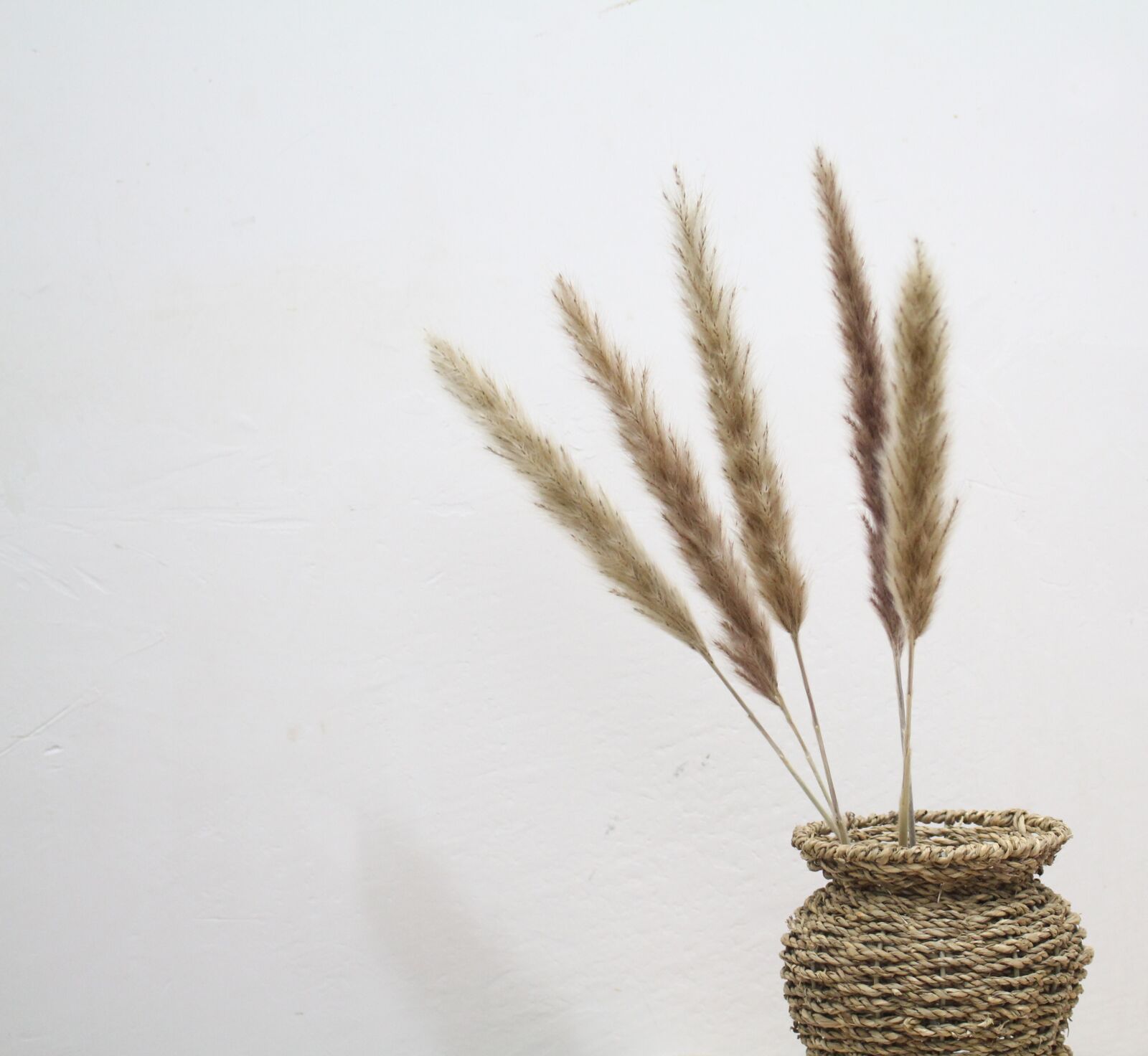 Canon EOS 700D (EOS Rebel T5i / EOS Kiss X7i) sample photo. Simple, back, view photography