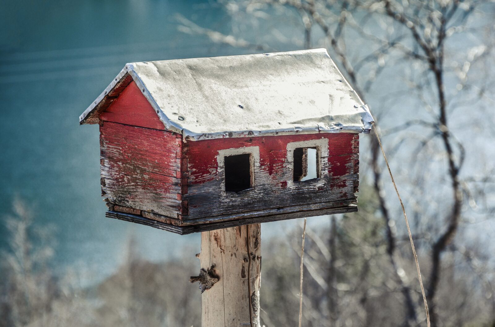 Nikon D5200 sample photo. Feeder, house, bird photography