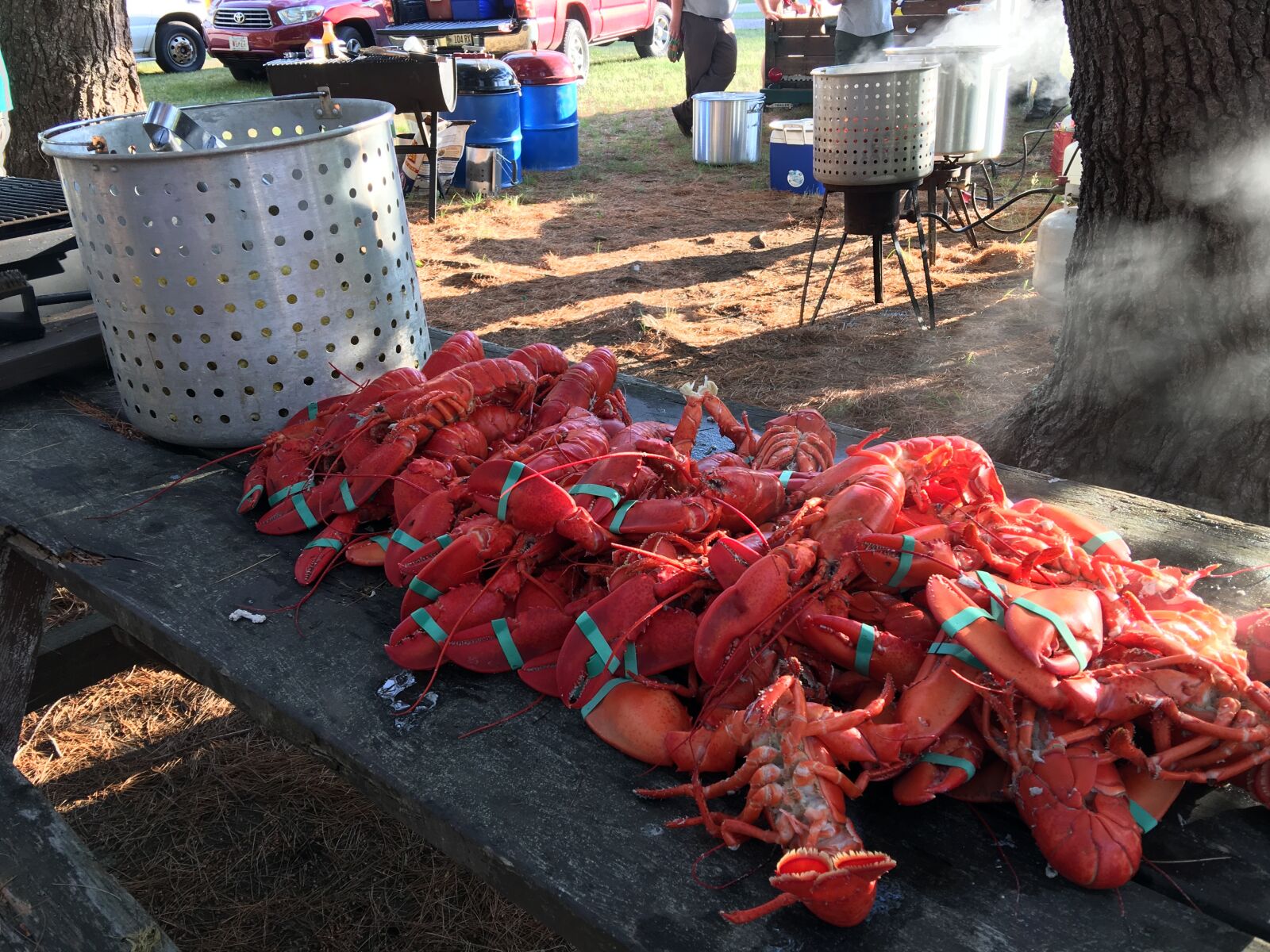 iPhone 6s Plus back camera 4.15mm f/2.2 sample photo. Maine, lobsters, seafood photography
