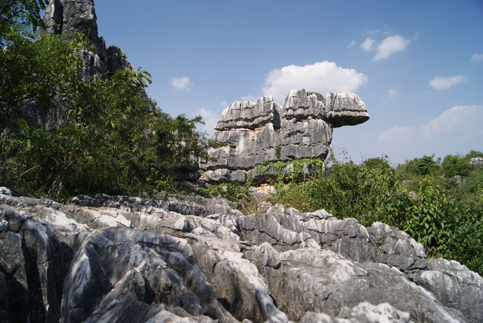 Sony Alpha DSLR-A230 sample photo. Stone forest, rock, shilin photography