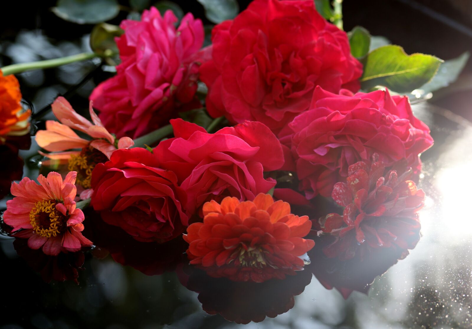 Canon EF-S 60mm F2.8 Macro USM sample photo. Roses, flowers, bouquet photography