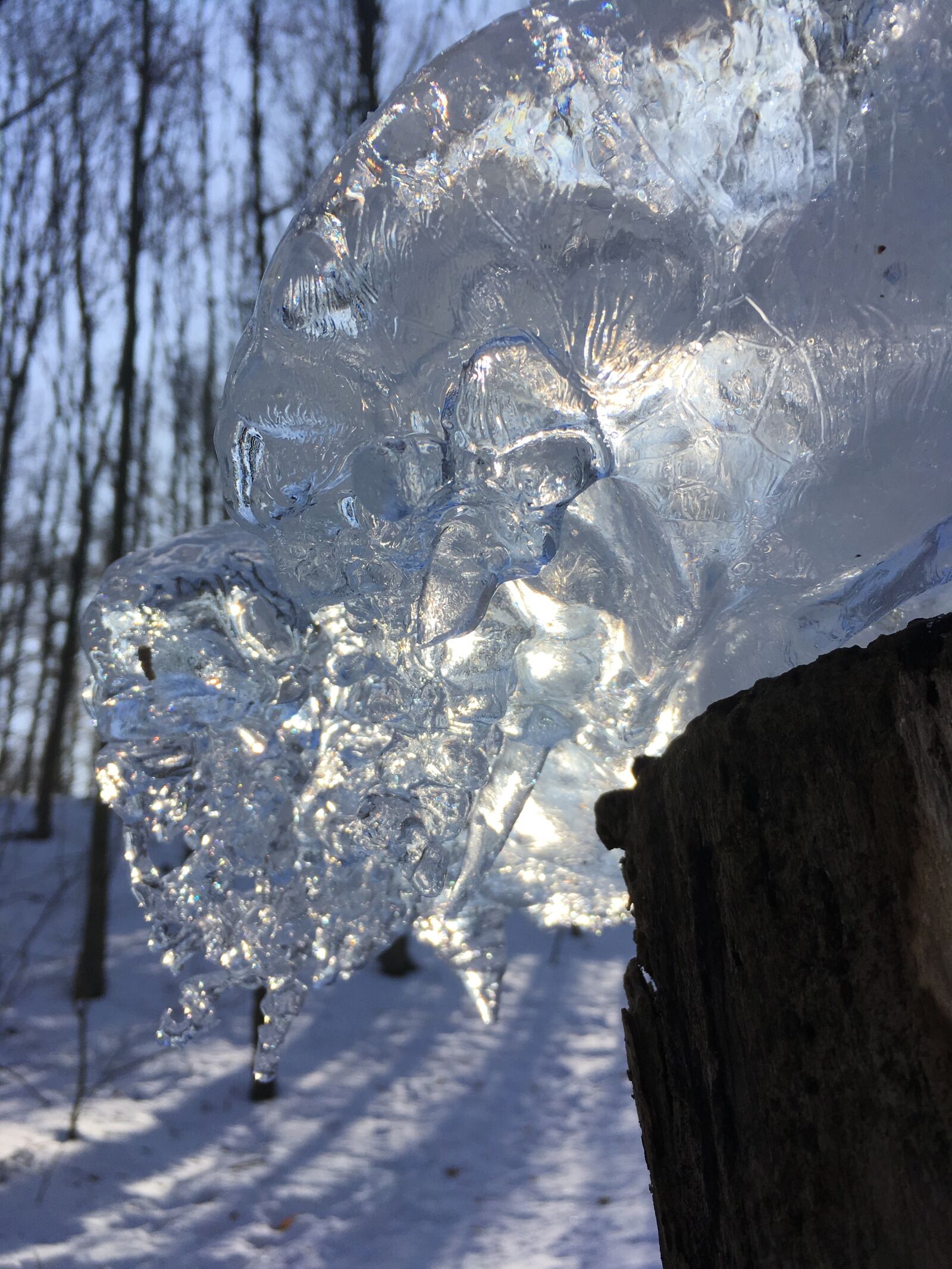 Apple iPhone SE sample photo. Ice, winter, icicle photography