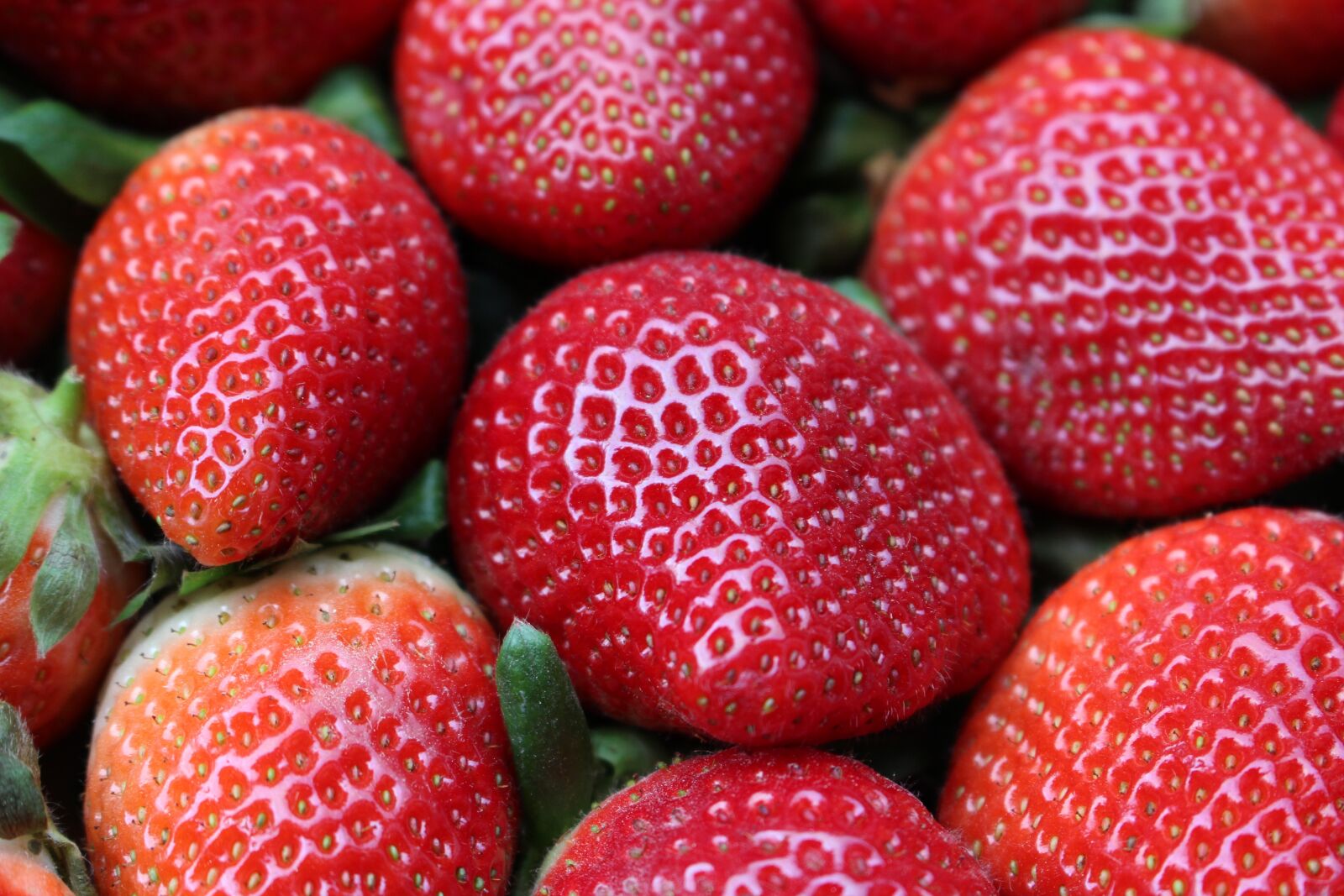Canon EOS 100D (EOS Rebel SL1 / EOS Kiss X7) sample photo. Strawberries, fruit, red photography