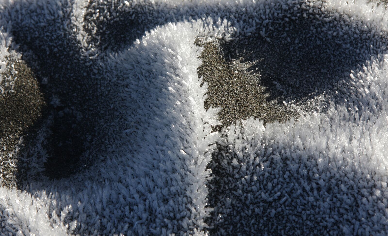Canon EOS 40D sample photo. Ice, frost, quinault photography