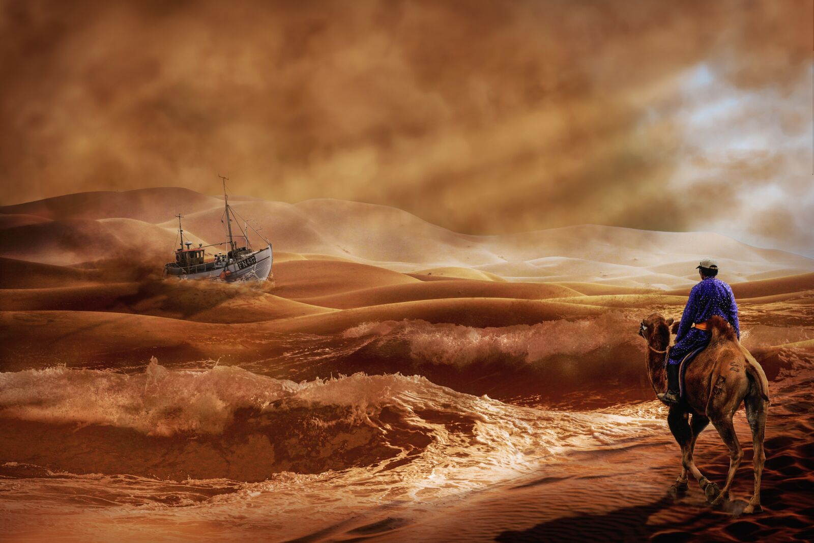 Nikon D5000 sample photo. Ship, camel, desert photography