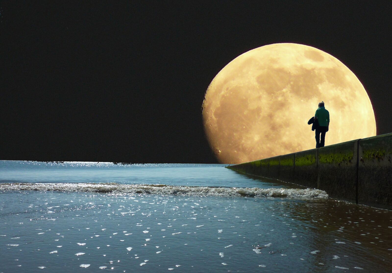 Panasonic DMC-TZ7 sample photo. Sea, moon, evening photography