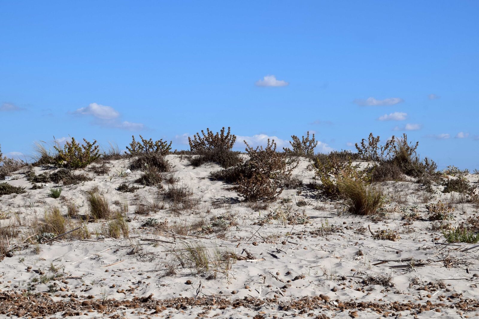 Nikon D3300 sample photo. Sky, dry, nature, landscape photography