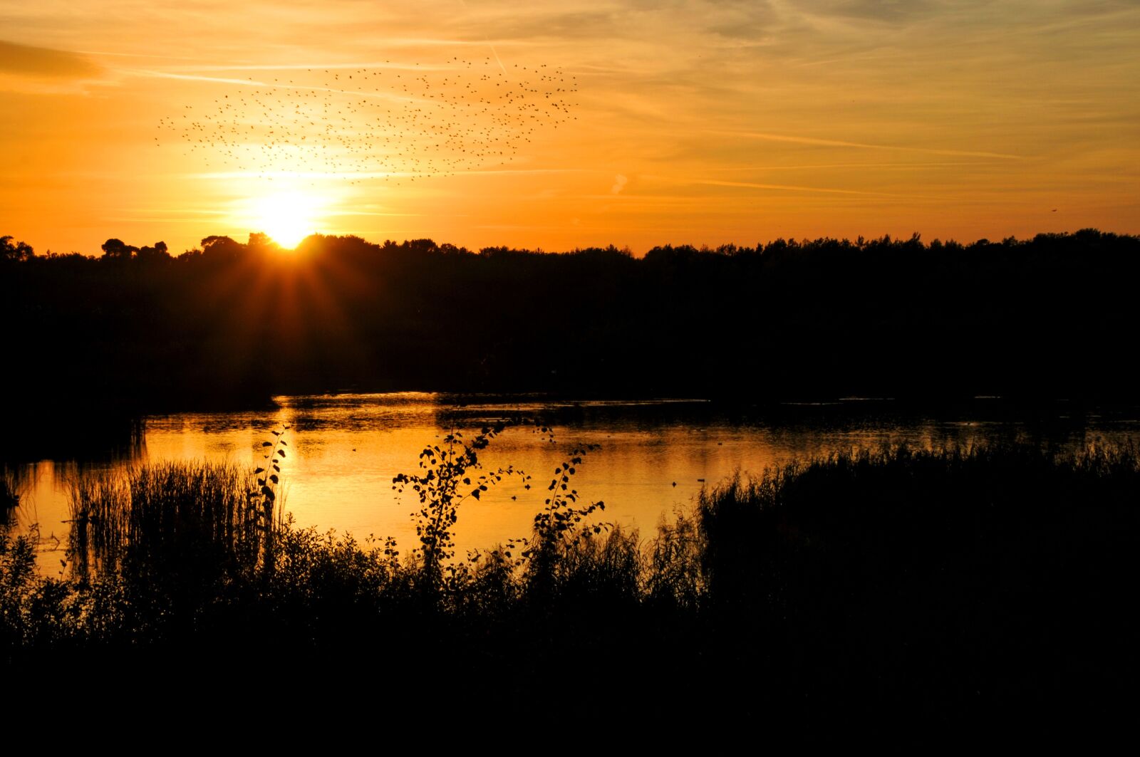 Nikon D300 sample photo. Evening sun, lake, sunset photography
