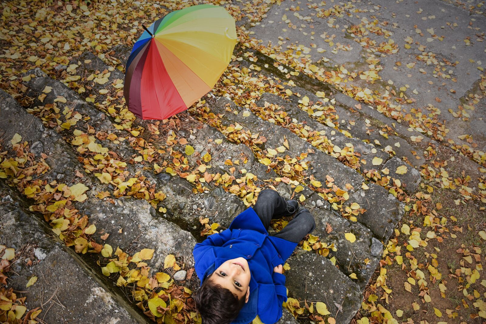 Nikon D750 sample photo. Nature, outdoor, autumn photography