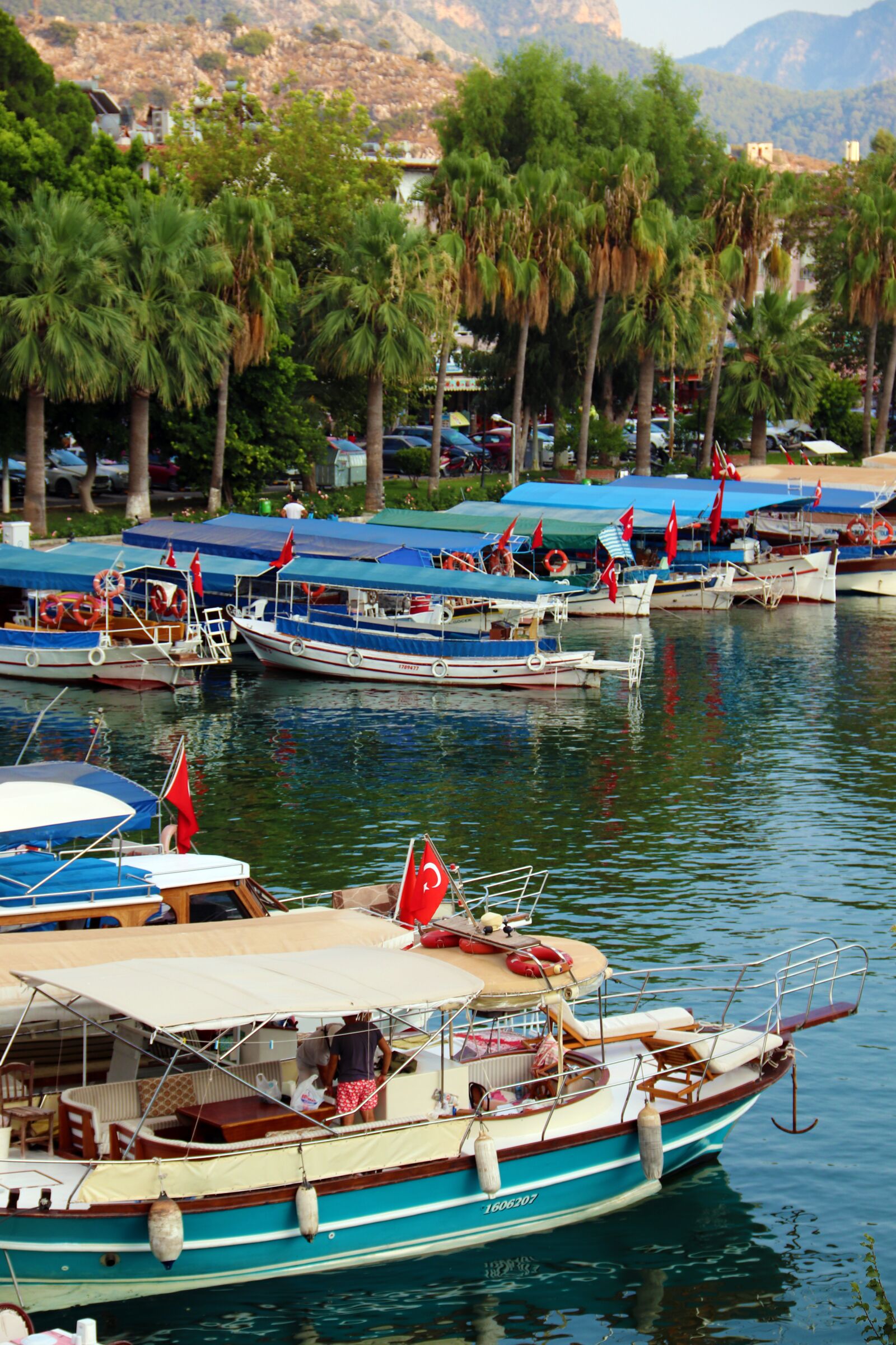 Canon EOS 800D (EOS Rebel T7i / EOS Kiss X9i) + Canon EF-S 18-135mm F3.5-5.6 IS sample photo. Turkey, dalyan, boats photography