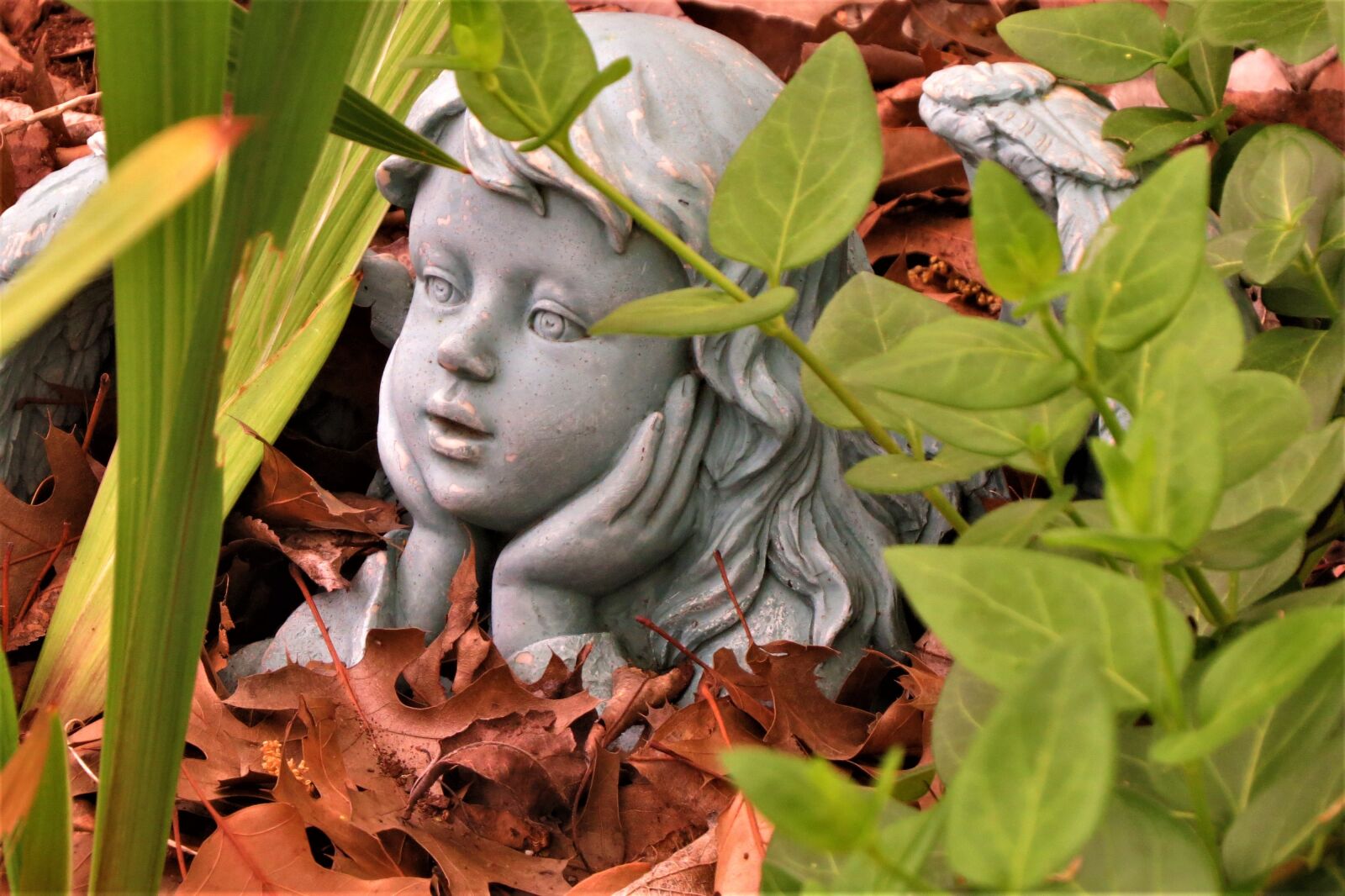 Canon PowerShot SX50 HS sample photo. Angel, statue, garden photography