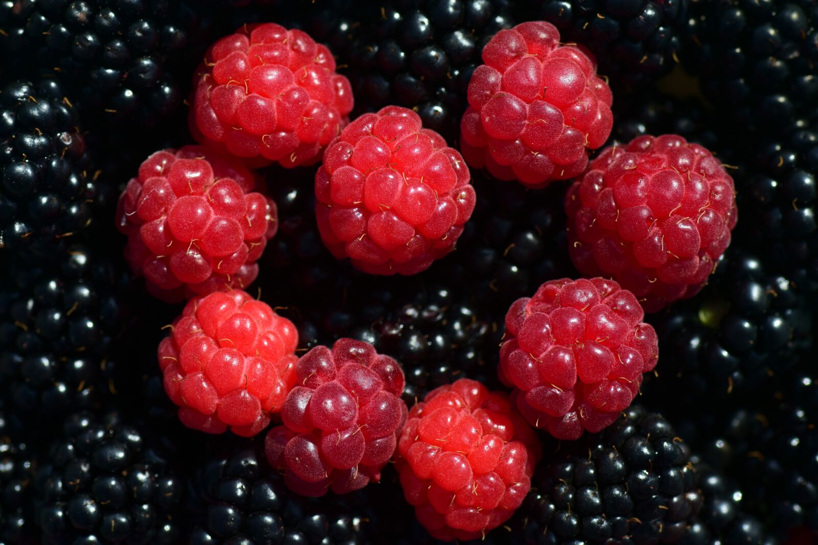 Nikon D3300 sample photo. Raspberries, blackberries, heart photography