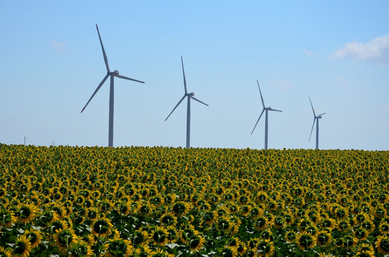Nikon D5100 sample photo. Windmill, turbine, energy photography