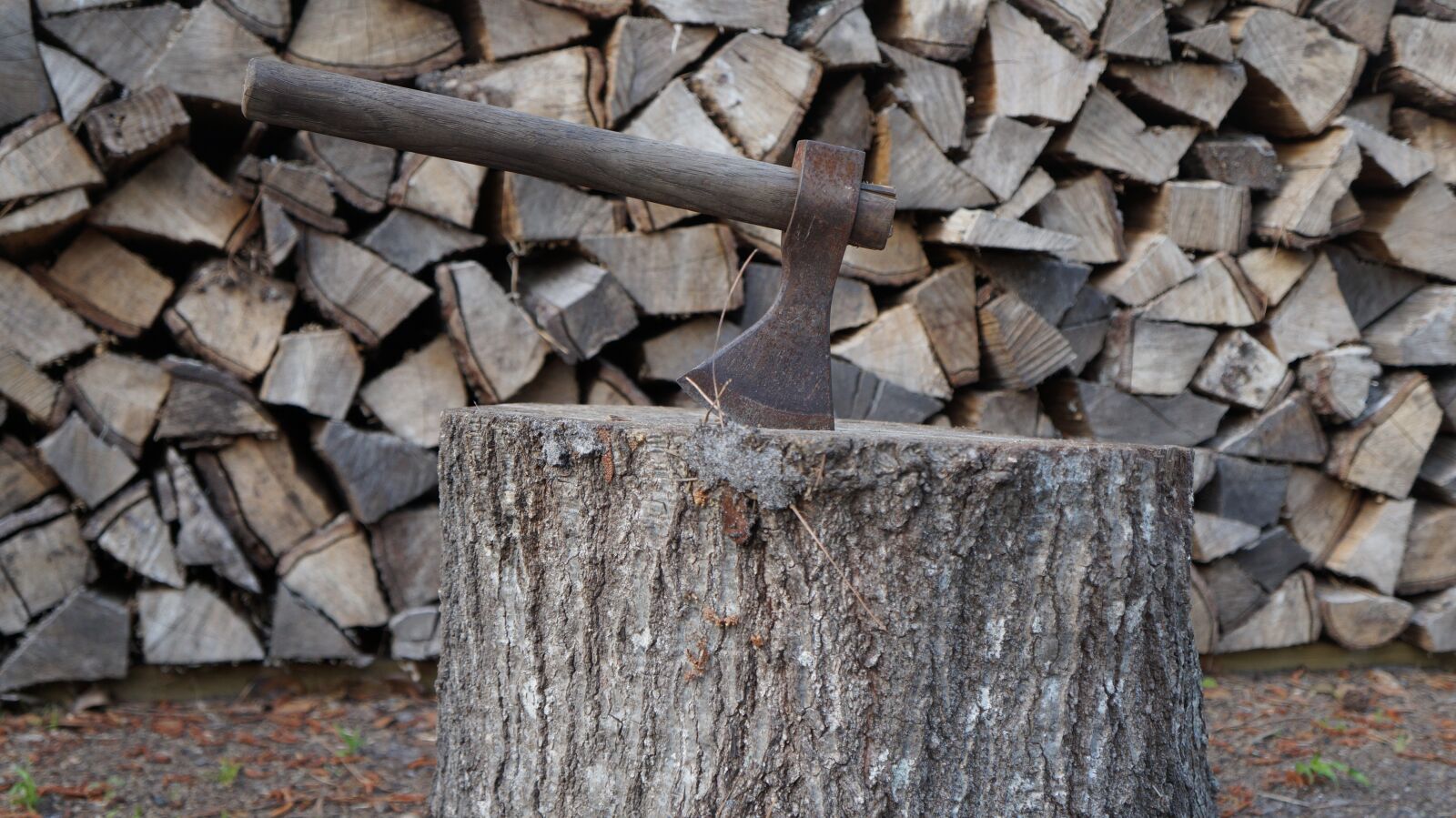 Sony Alpha a3000 + Sony E 18-55mm F3.5-5.6 OSS sample photo. Axe, wood, lumberjack photography