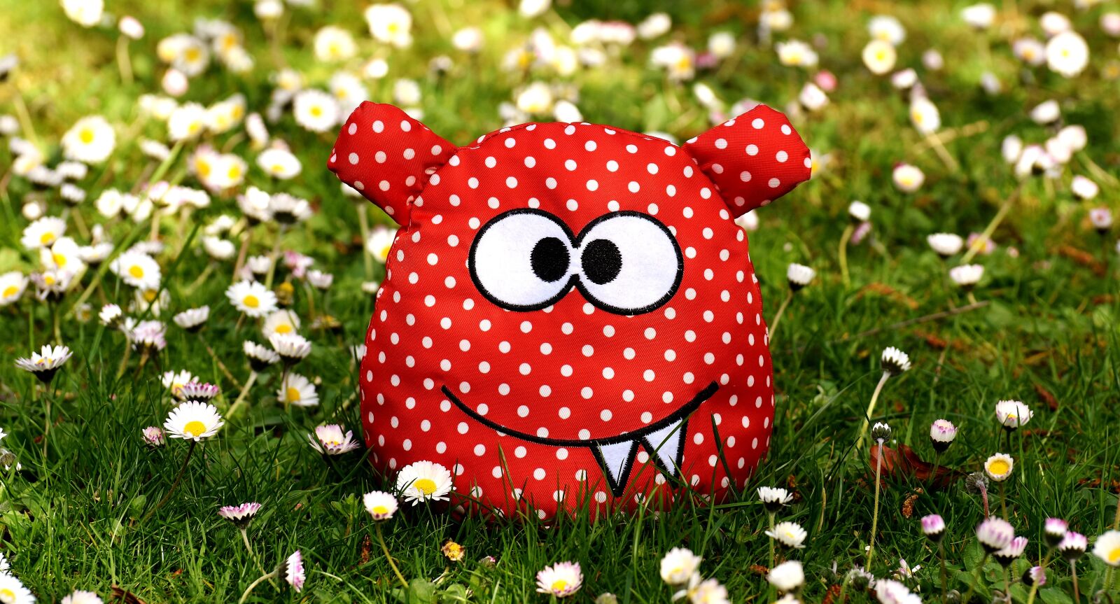 Nikon D7200 sample photo. Monster, fabric, meadow photography