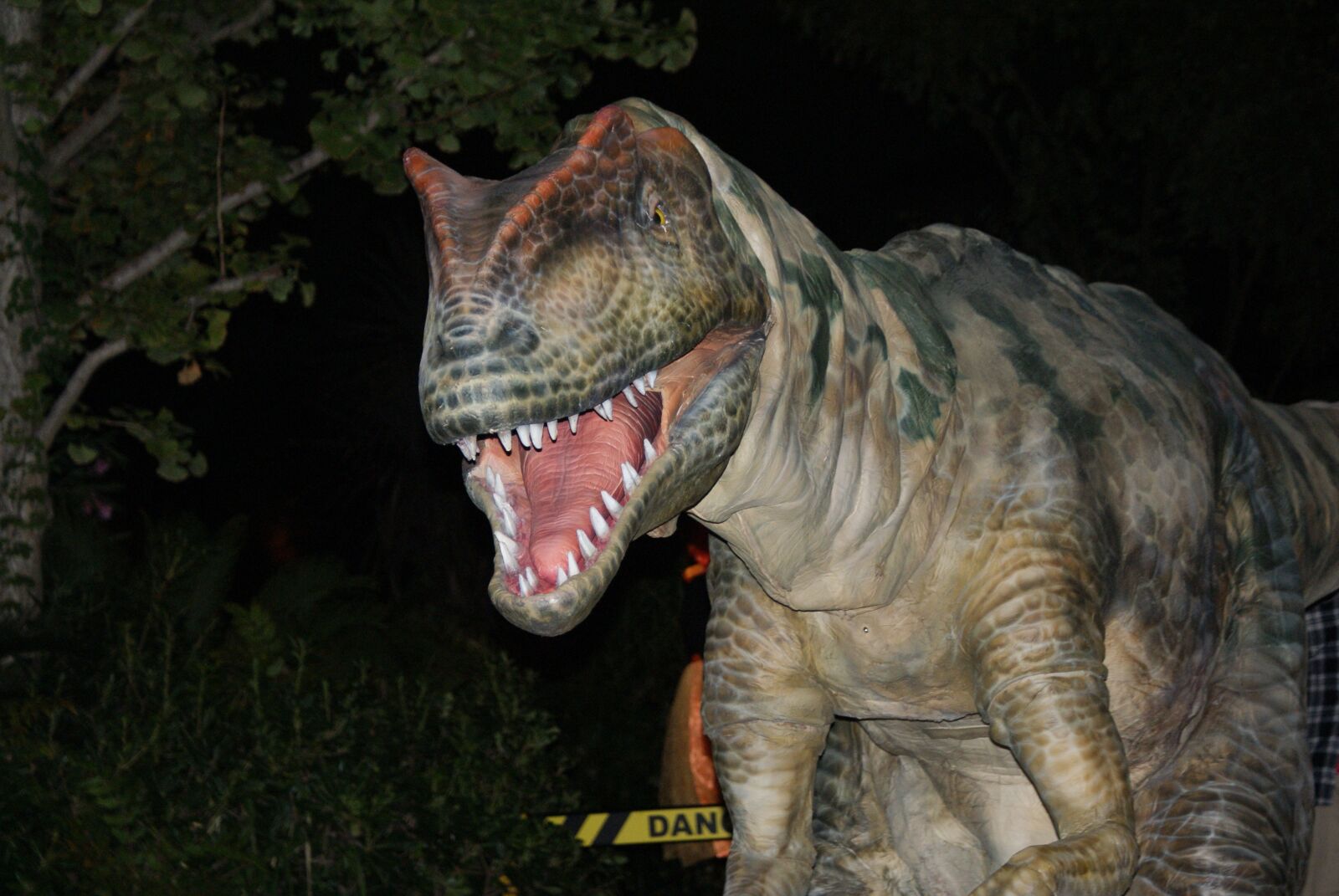 Sony Alpha DSLR-A200 sample photo. Dinosaur, danger, theme park photography