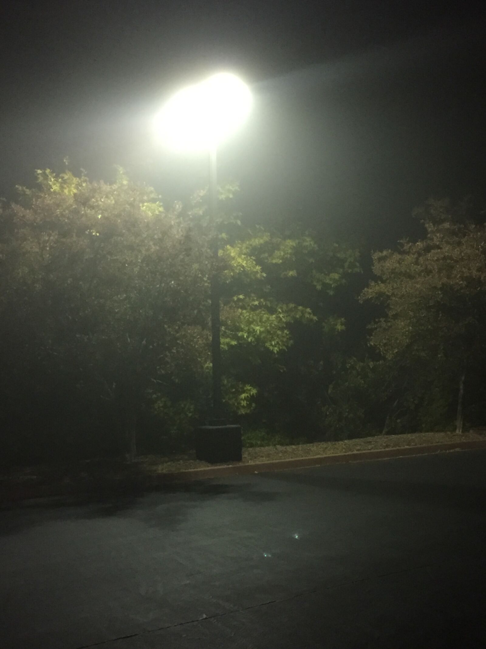 Apple iPhone 6 sample photo. Dark, glow, light, night photography