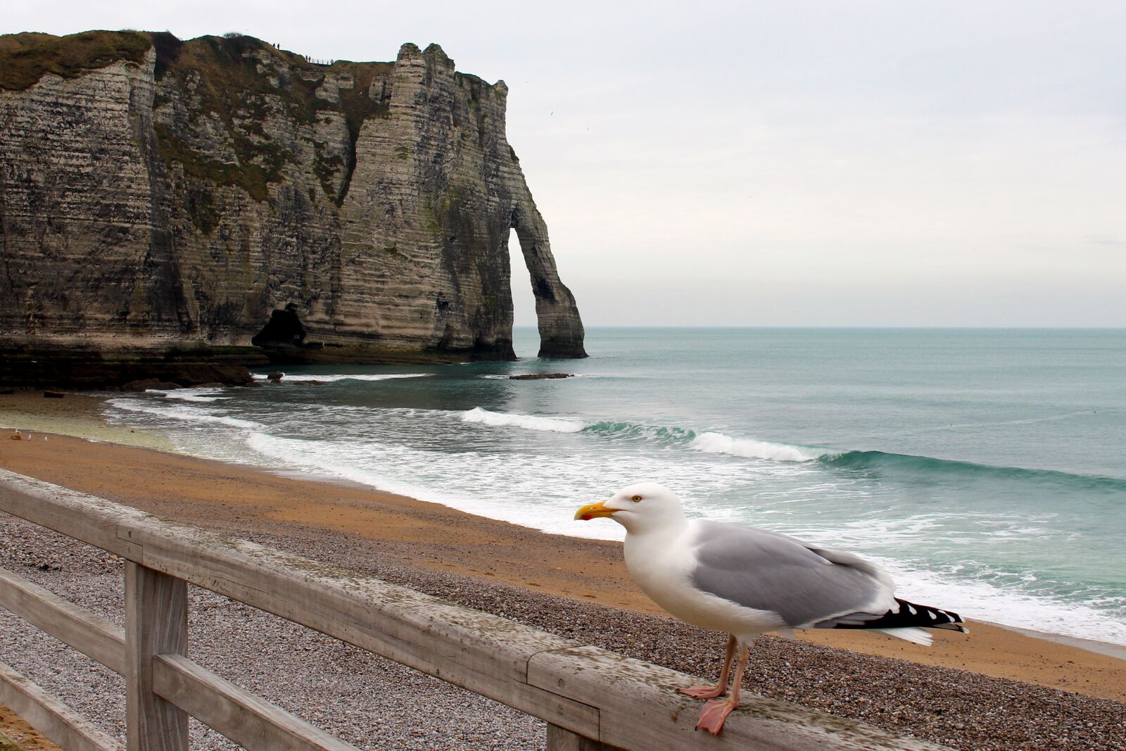 Canon EOS 700D (EOS Rebel T5i / EOS Kiss X7i) sample photo. Etretat, france, rock photography