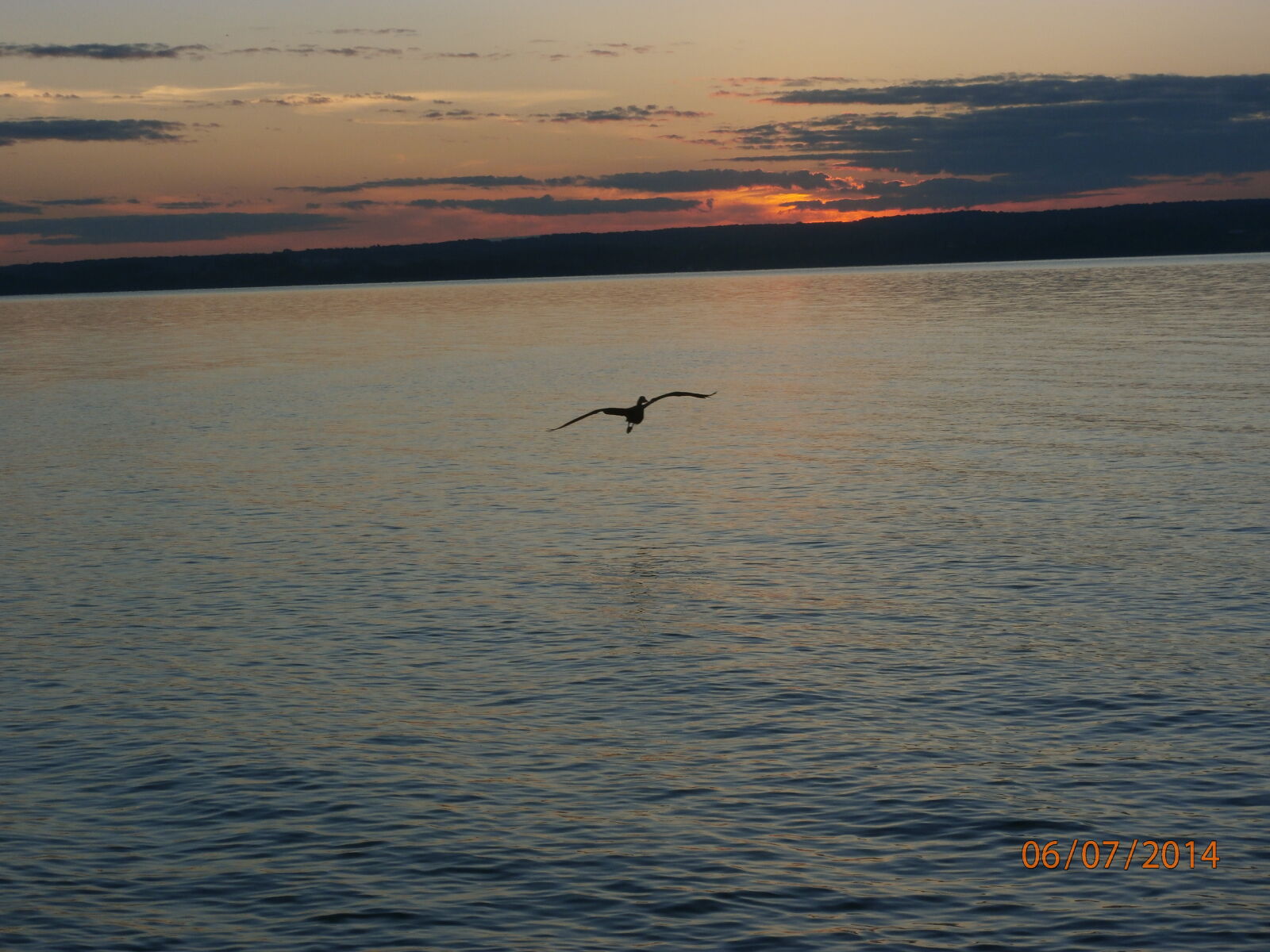 Olympus SZ-15,DZ-100 sample photo. Birds, on, the, water photography