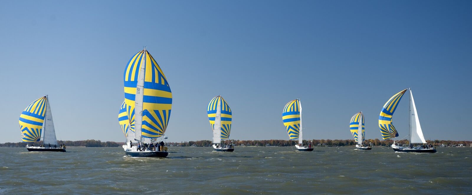 Nikon D3 sample photo. Sailboats, race, competition photography