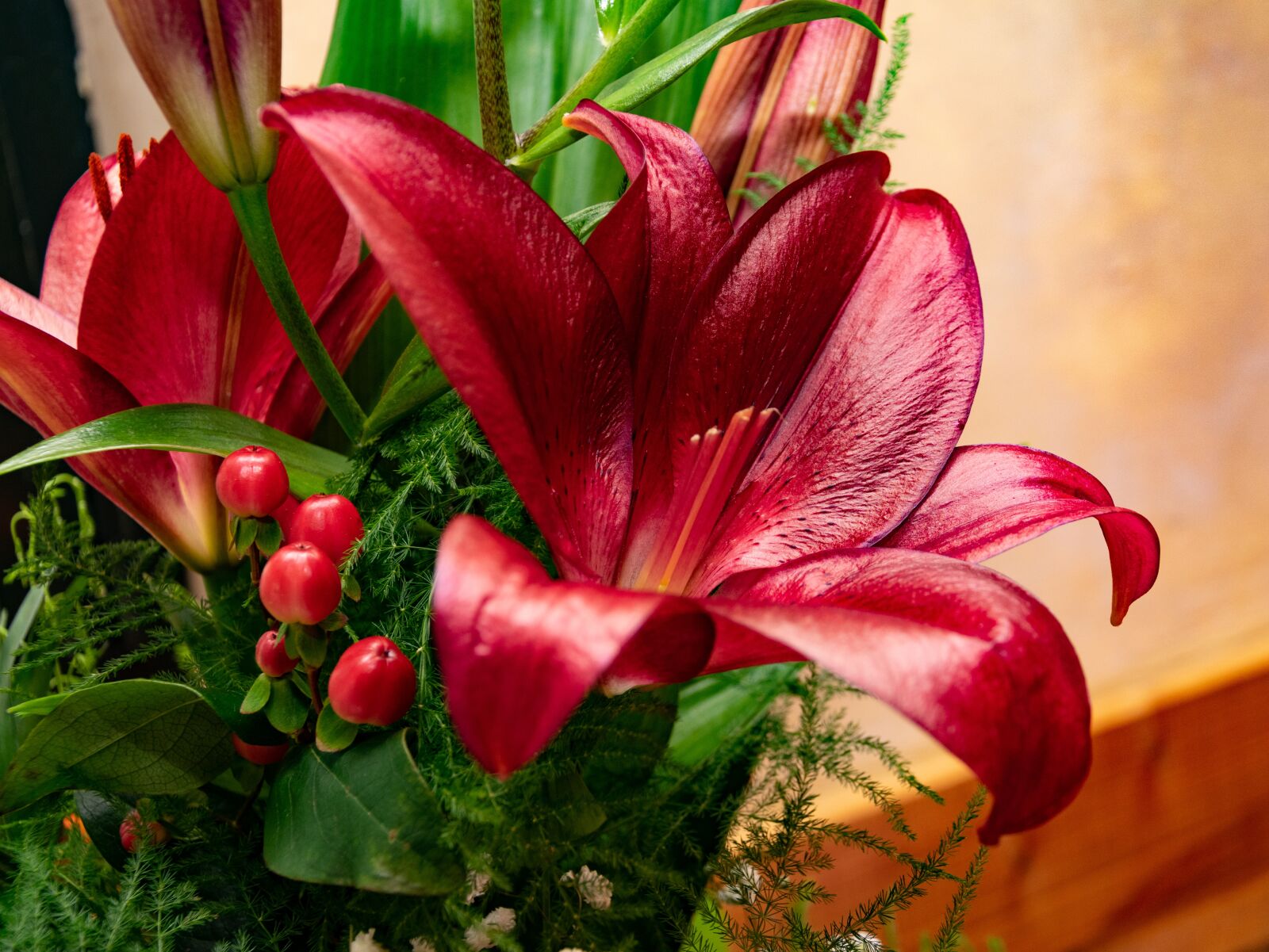Nikon D3300 sample photo. Flower, orchid, blooms at photography