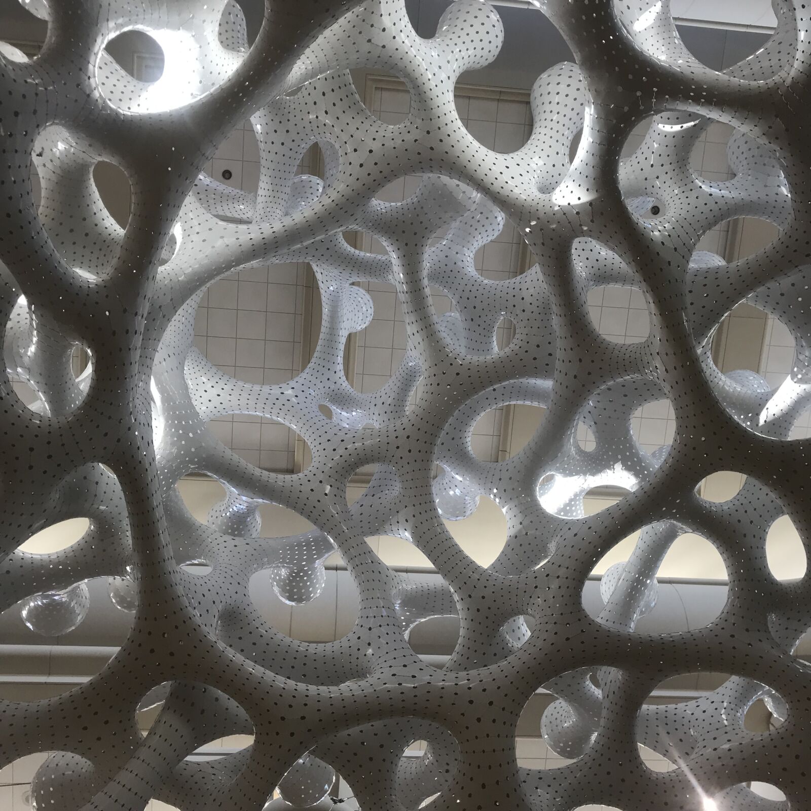 iPhone 7 back camera 3.99mm f/1.8 sample photo. Abstract, white, architecture photography
