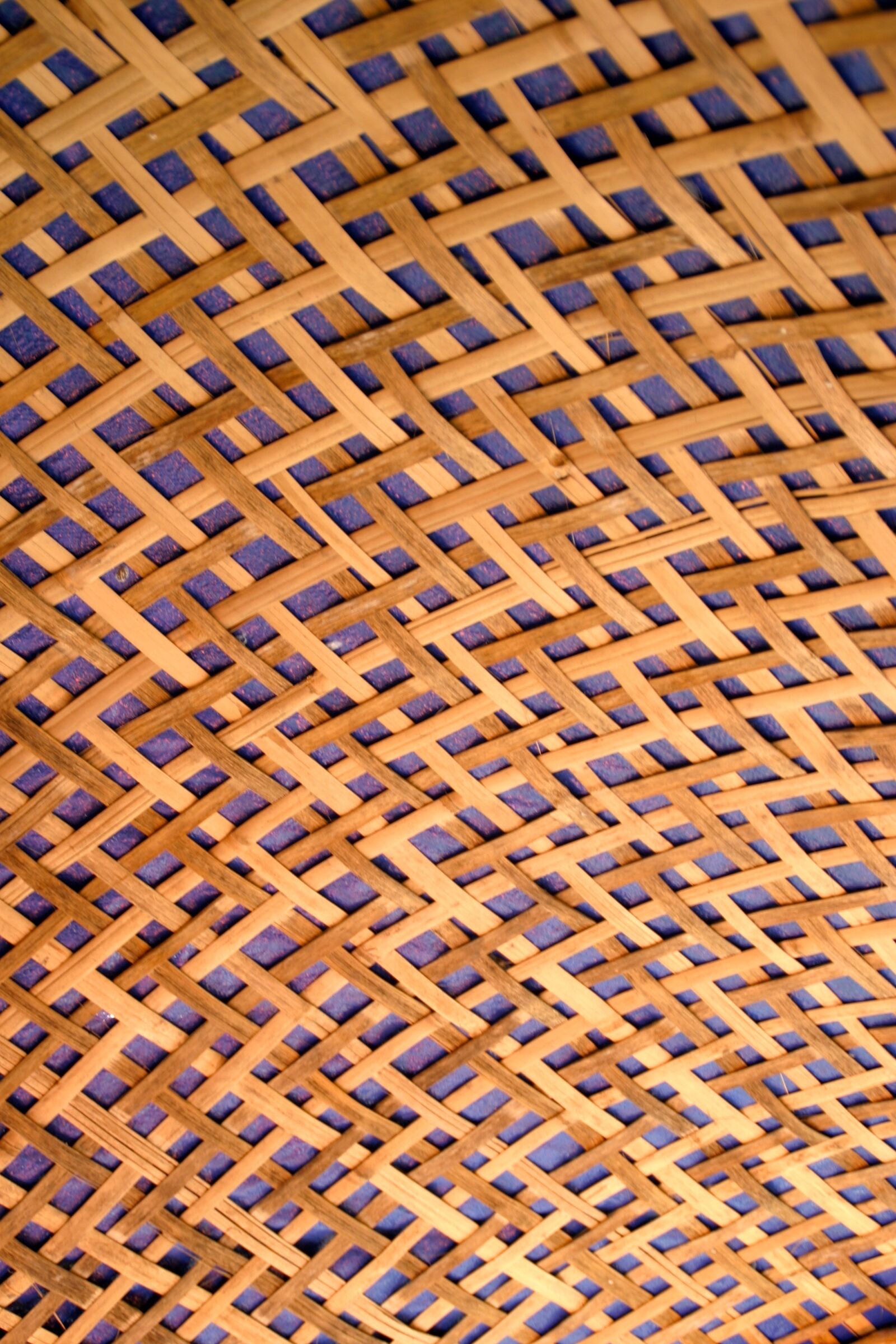 Canon EOS 10D sample photo. Bamboo, wattle, roof photography