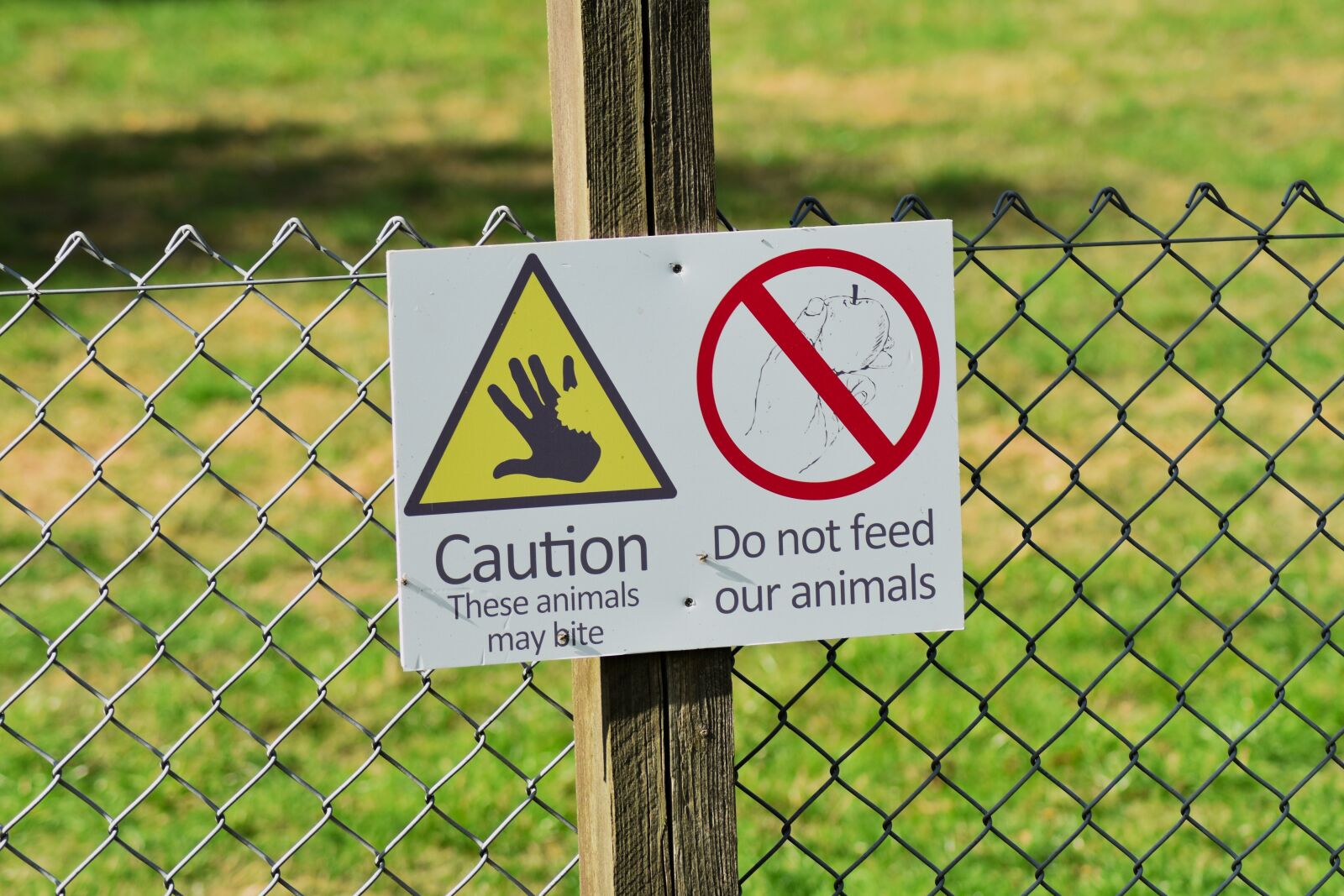 Nikon D3400 sample photo. Danger, hazard, beware photography
