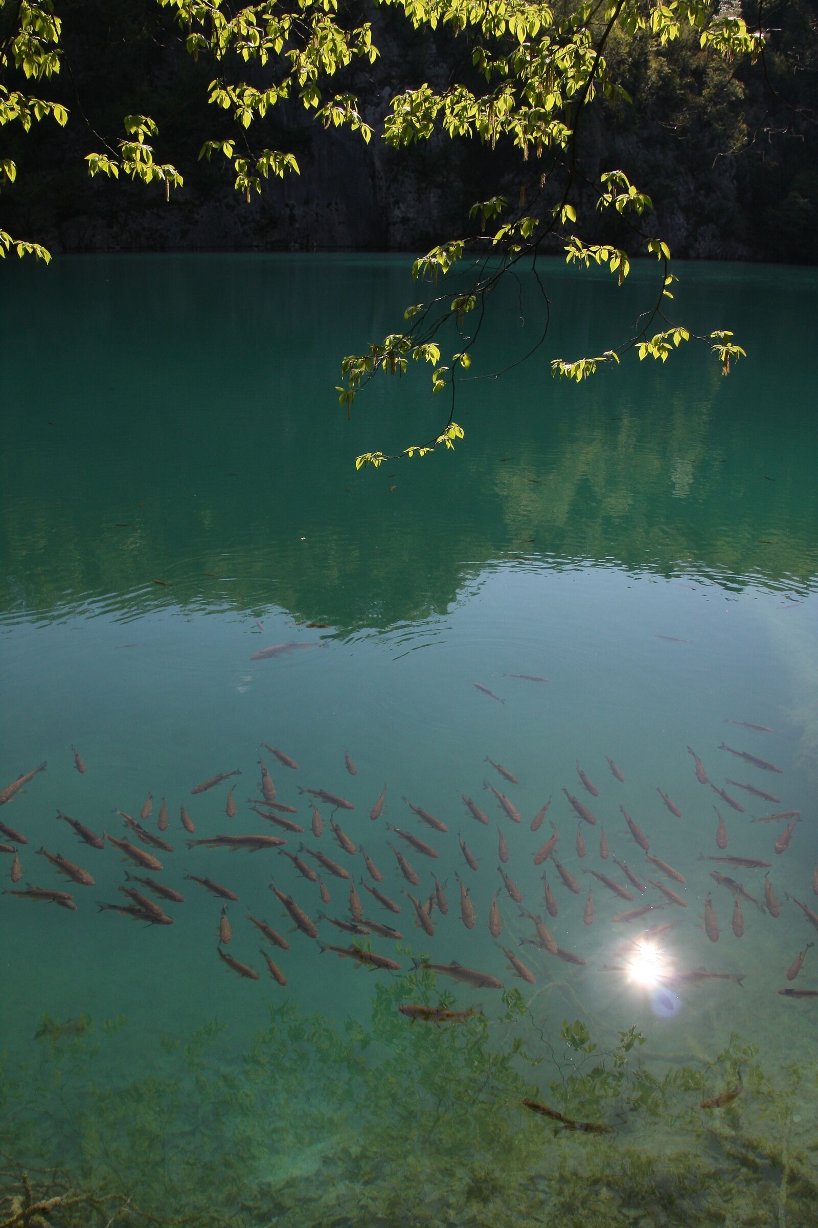 Canon EOS 40D sample photo. Plitvice, nature, landscape photography