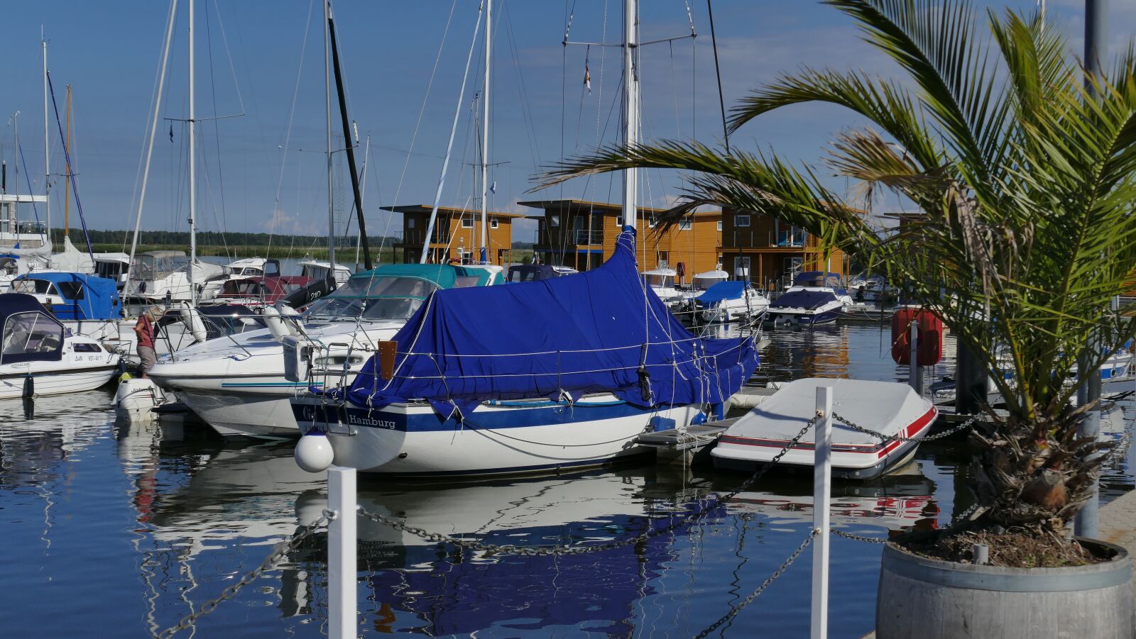 Leica V-Lux (Typ 114) sample photo. Port, palm, marina photography