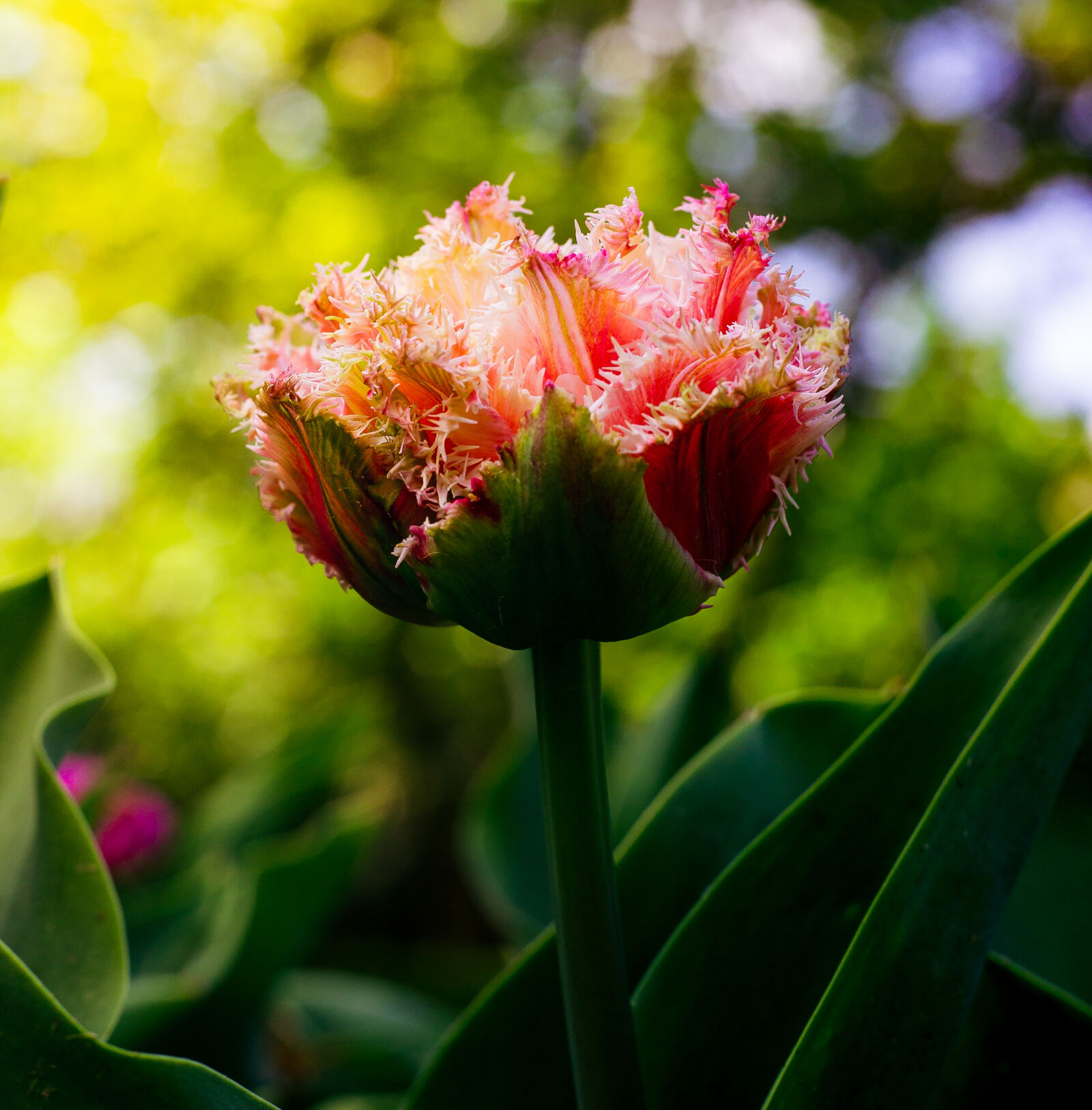 Canon EOS 6D sample photo