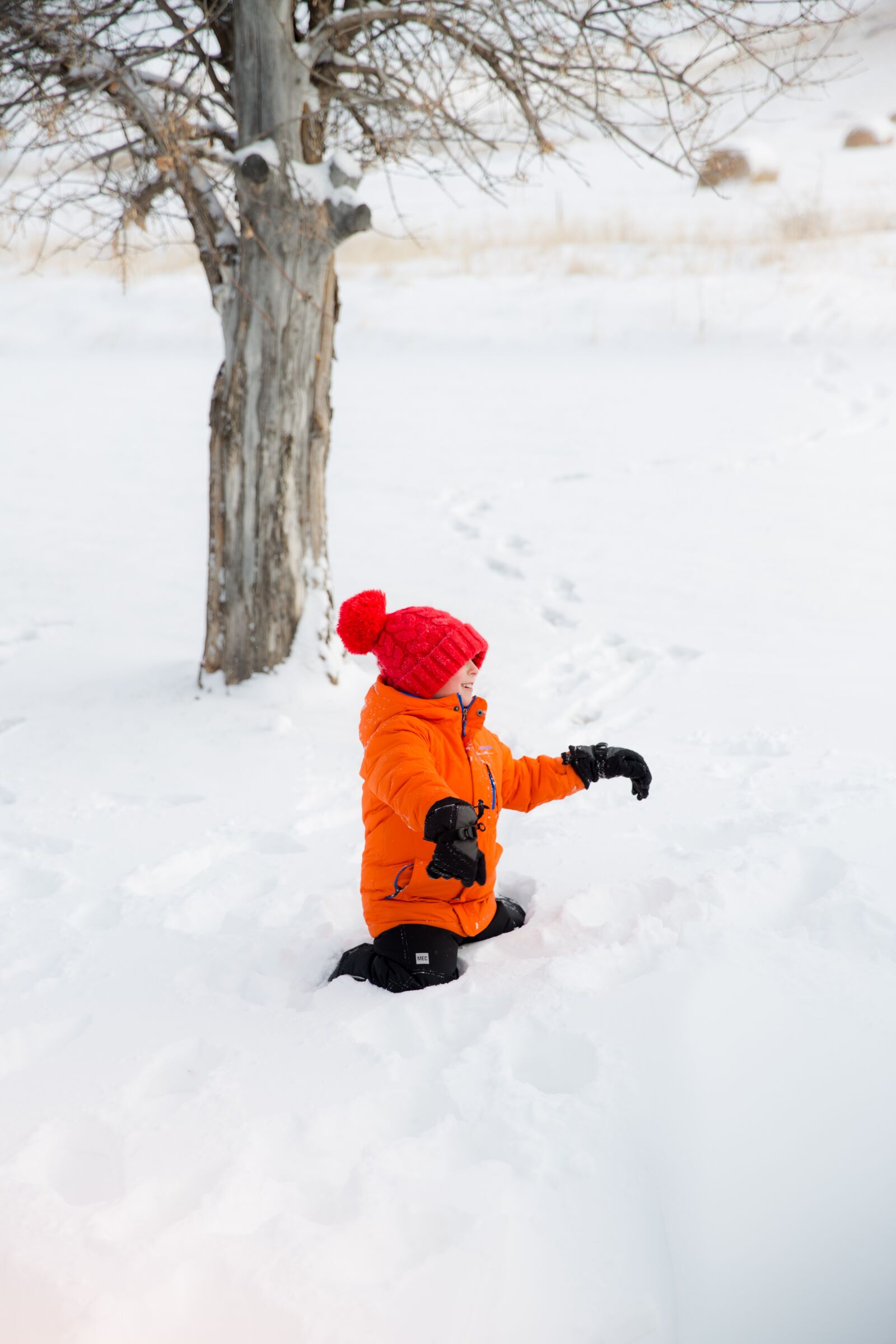 Canon EF 24-70mm F2.8L II USM sample photo. Winter, children, child photography