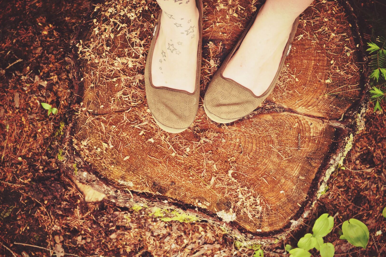 Nikon D3100 sample photo. Feet, standing, stand photography