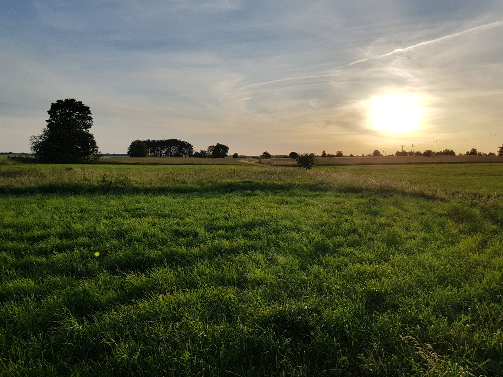 Samsung Galaxy S8 sample photo. Nature photography