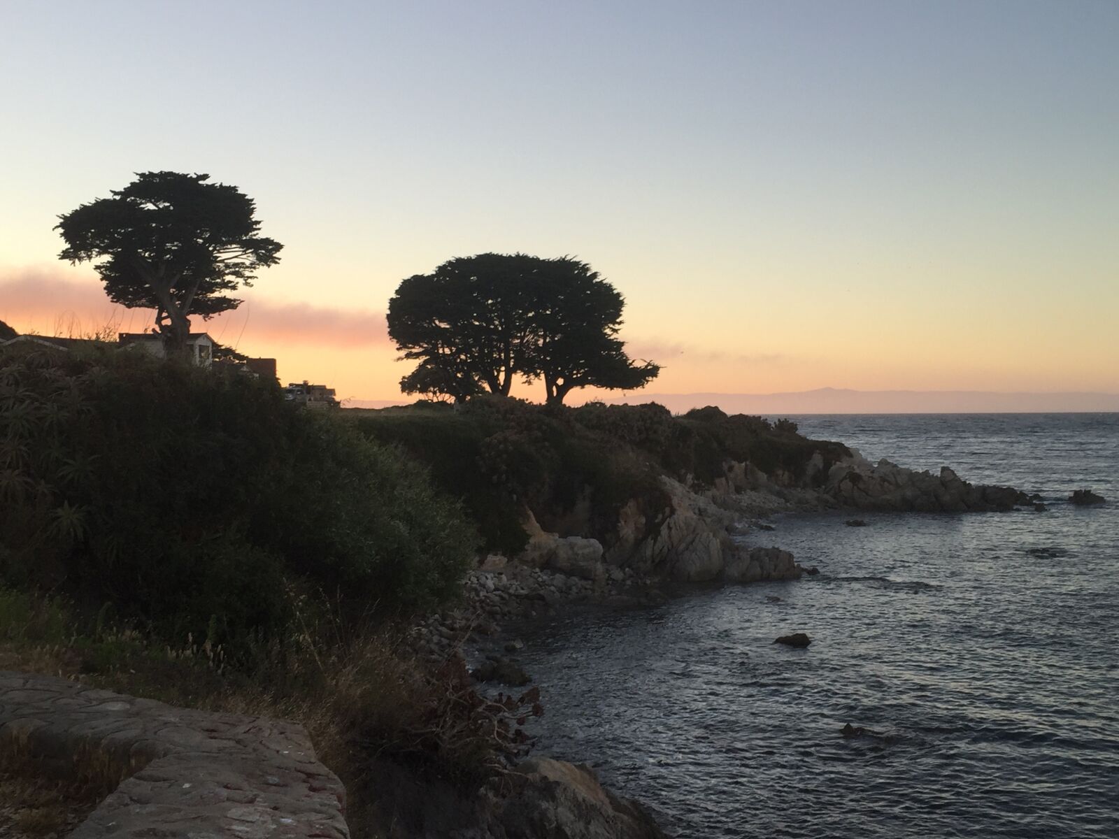 iPhone 6 back camera 4.15mm f/2.2 sample photo. Sunset, silhouette, trees photography