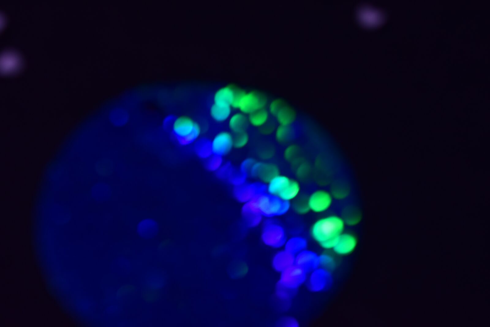 Nikon D5300 sample photo. Ligth, luces, color photography