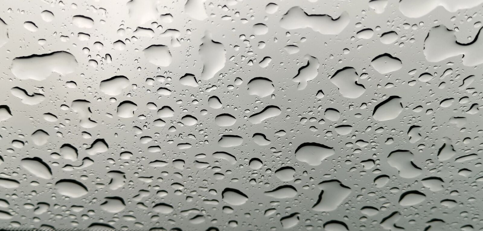 HUAWEI LYA-L29 sample photo. Rain, texture, drop photography