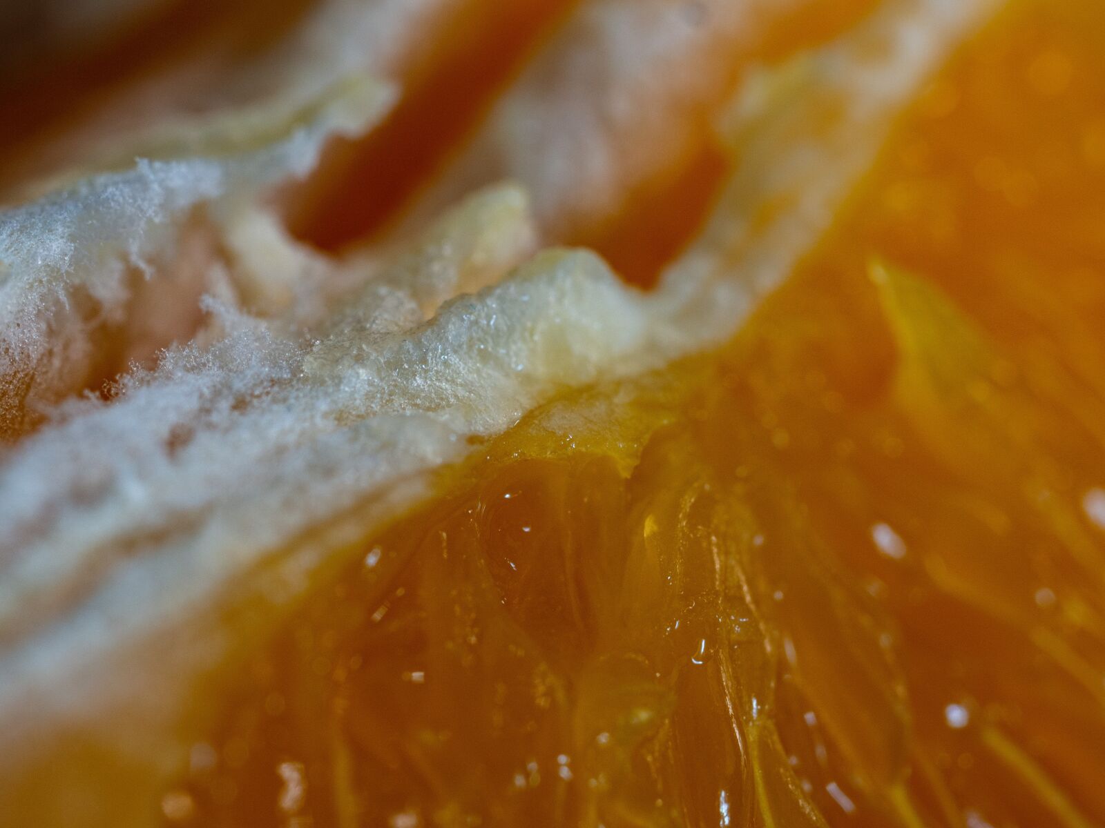 OLYMPUS 35mm Lens sample photo. The flesh, fruit, orange photography