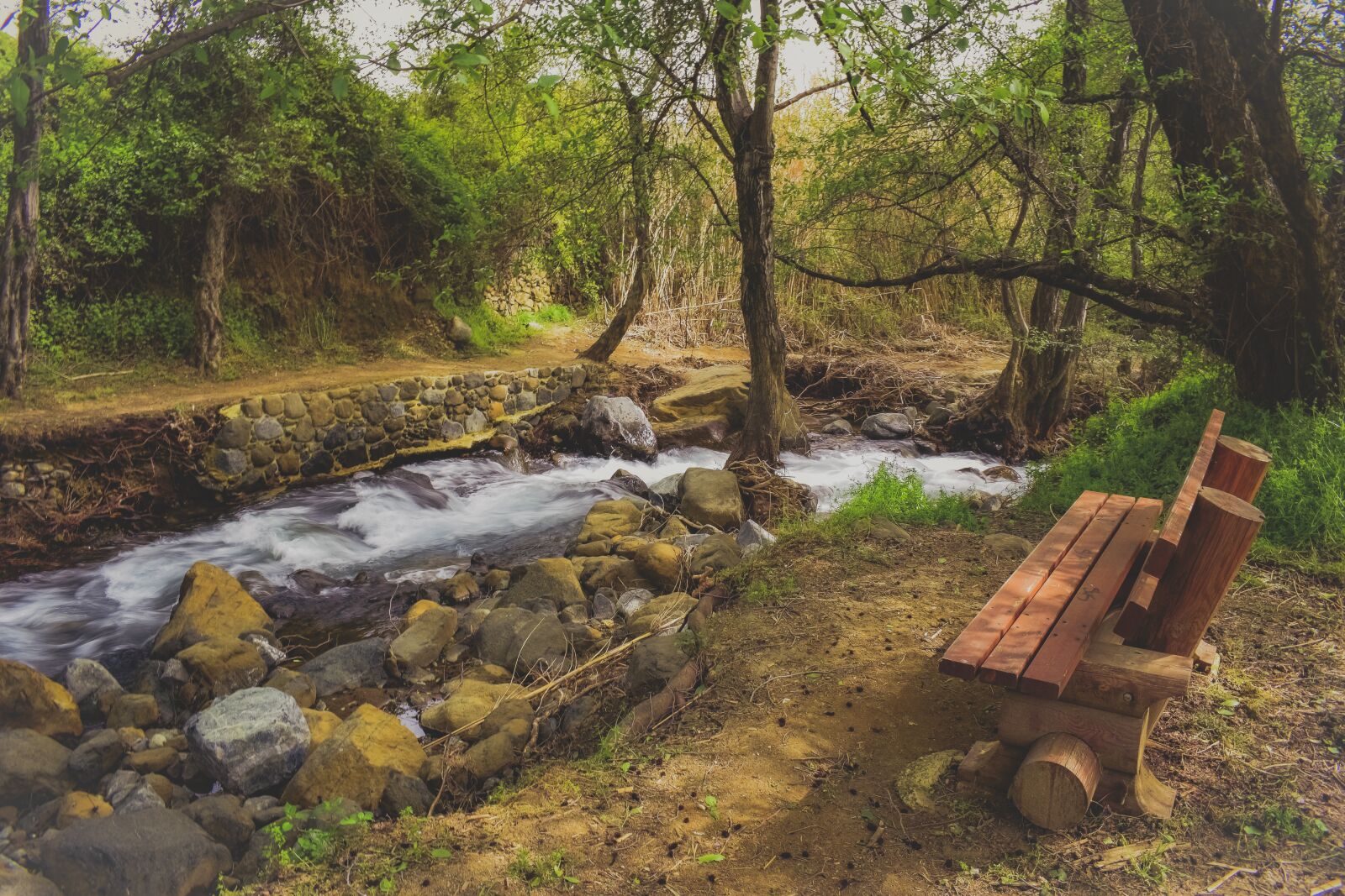 Nikon D3300 sample photo. Stream, creek, scenic photography