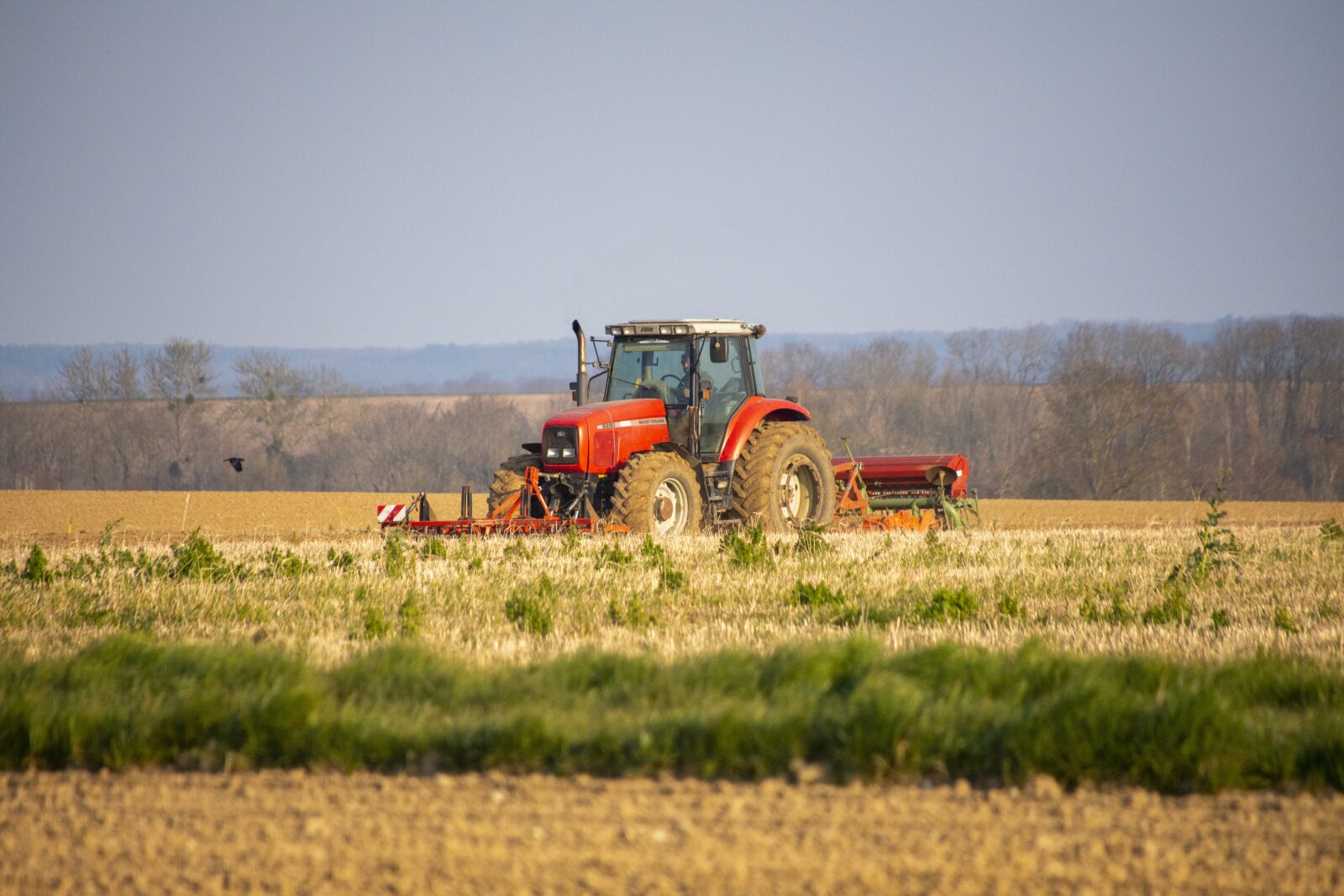 Nikon D7200 sample photo. Farm, field, agriculture photography