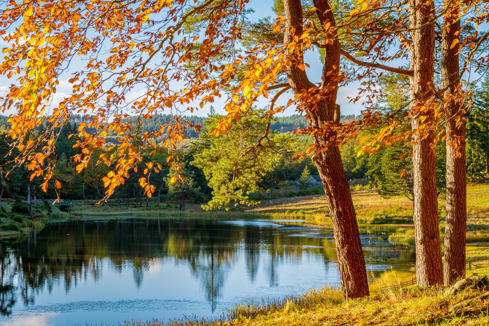 Pentax K-S2 sample photo. Autumn, trees, lake photography