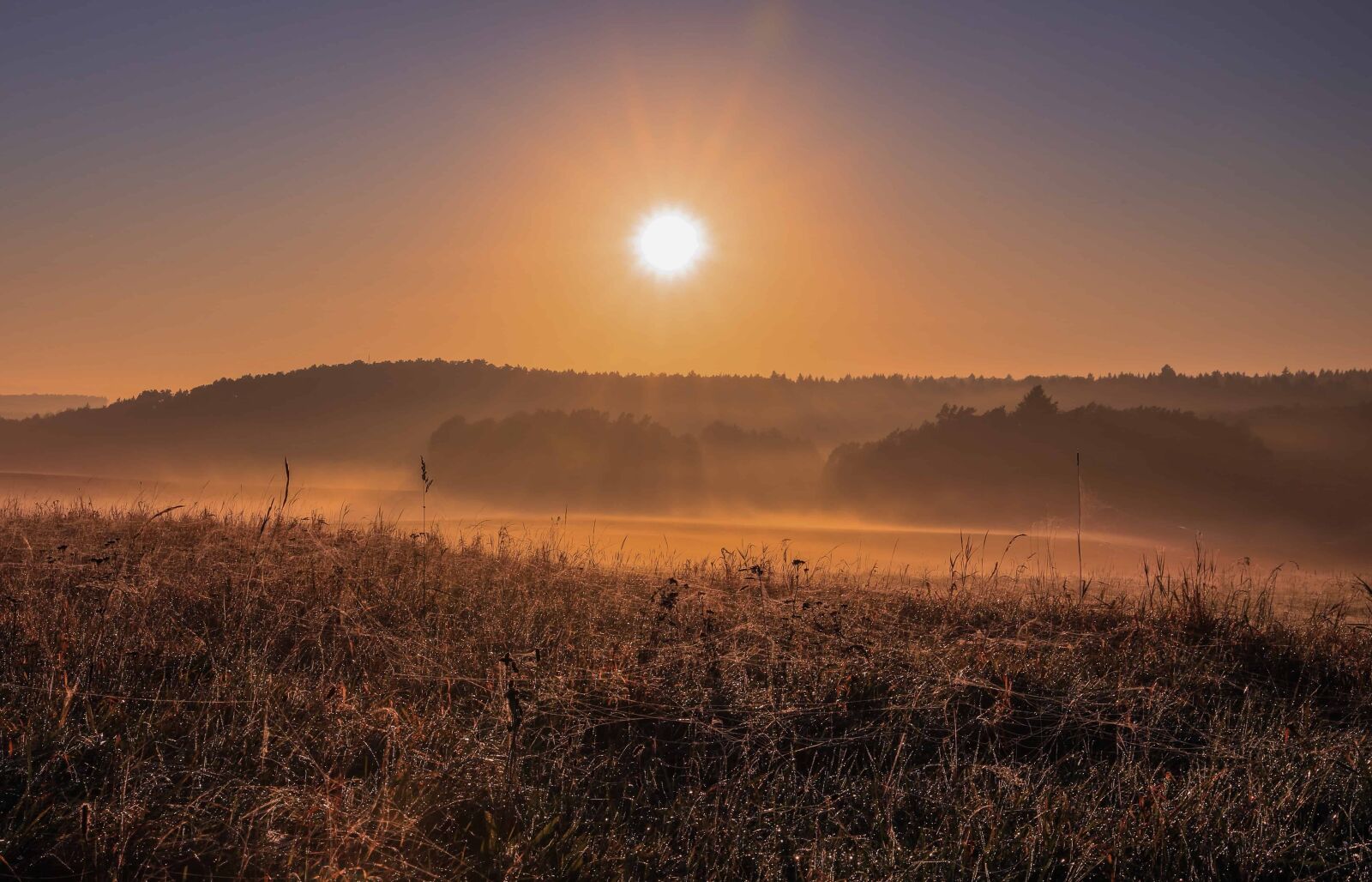 Canon EOS 5D Mark IV sample photo. Landscape, field, fog, sun photography