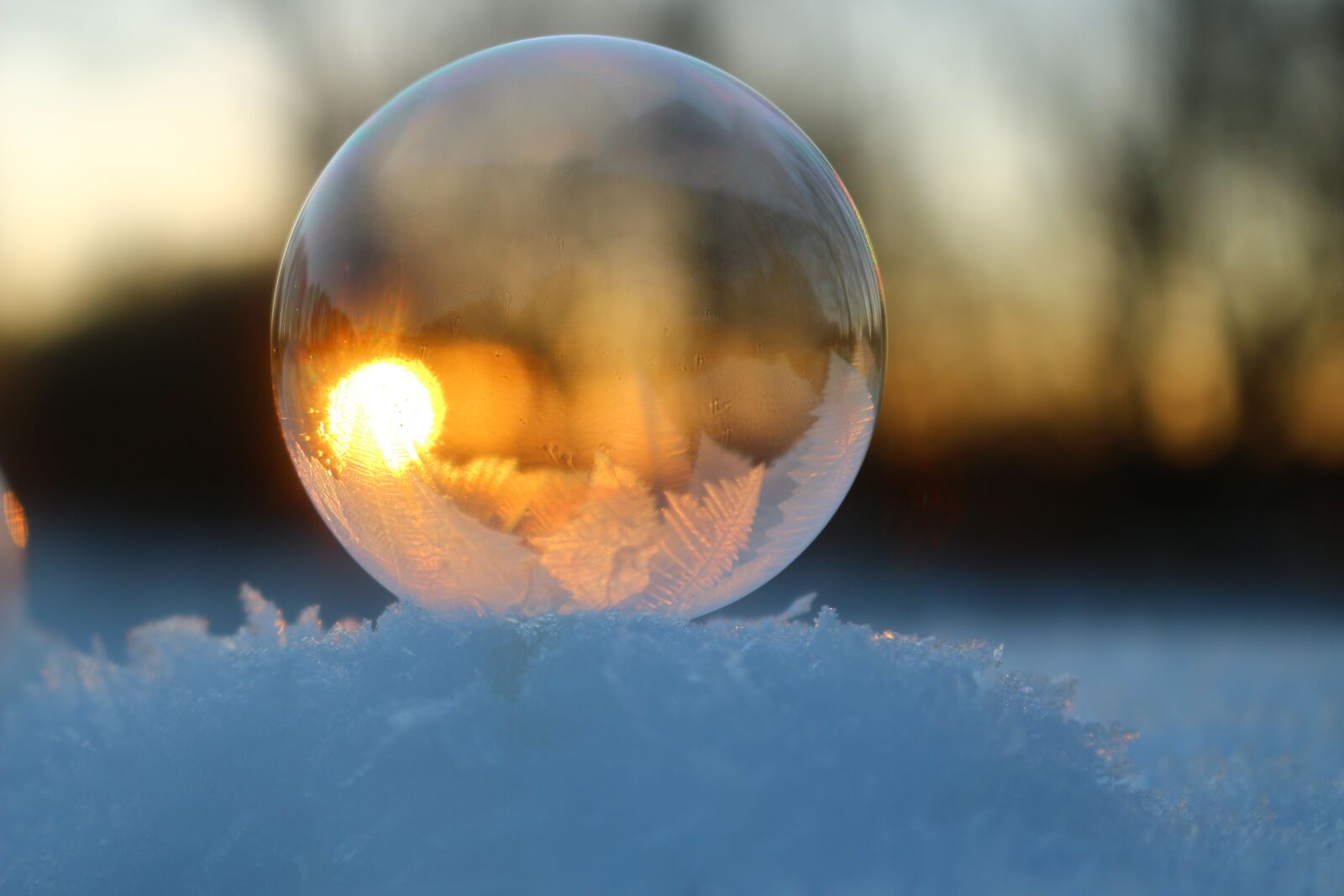 Canon EOS 100D (EOS Rebel SL1 / EOS Kiss X7) sample photo. Soap bubble, snow, frost photography